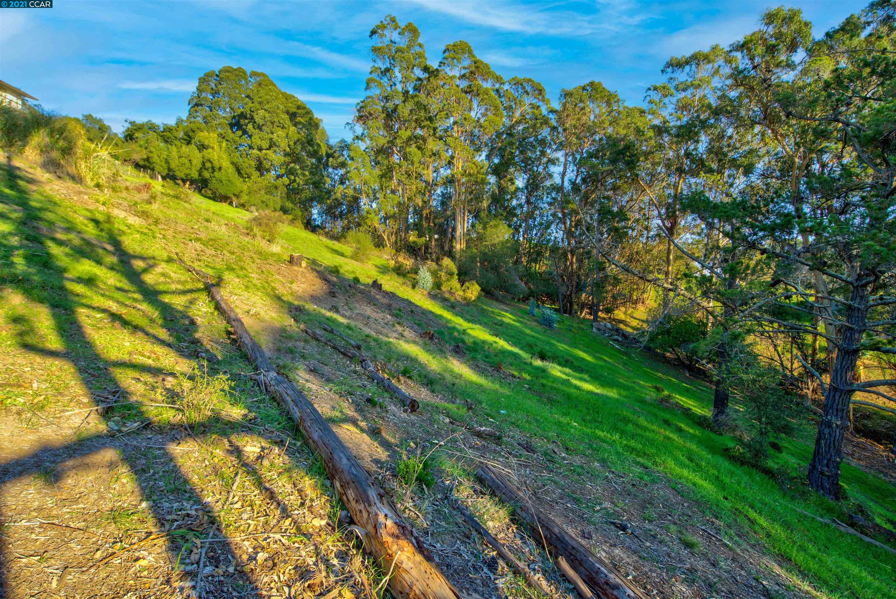 11388 Lochard St, OAKLAND, California 94605, ,Lots And Land,For Sale,Lochard St,40976028