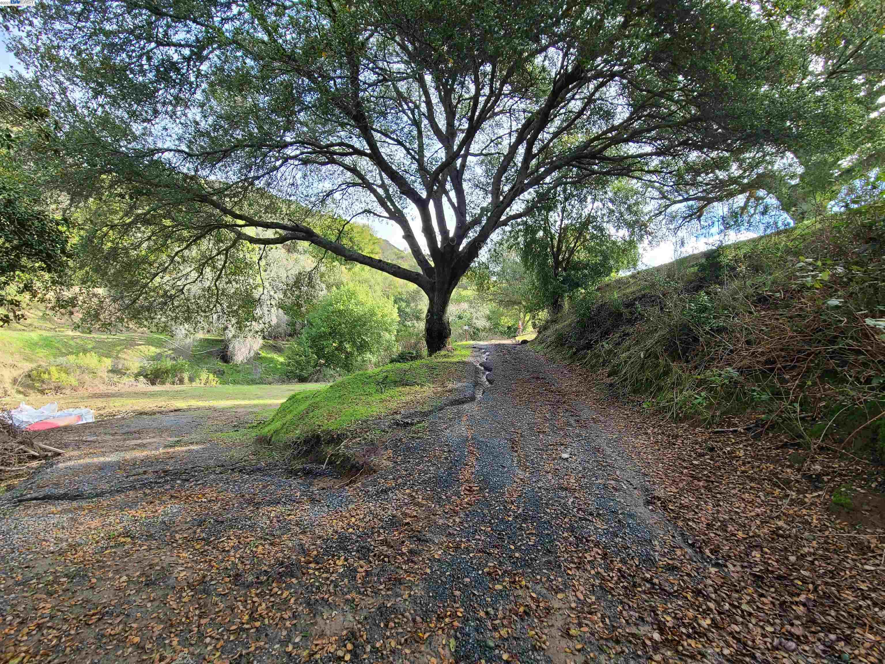 1390 Bollinger Cyn, MORAGA, California 94556, ,Lots And Land,For Sale,Bollinger Cyn,40976053