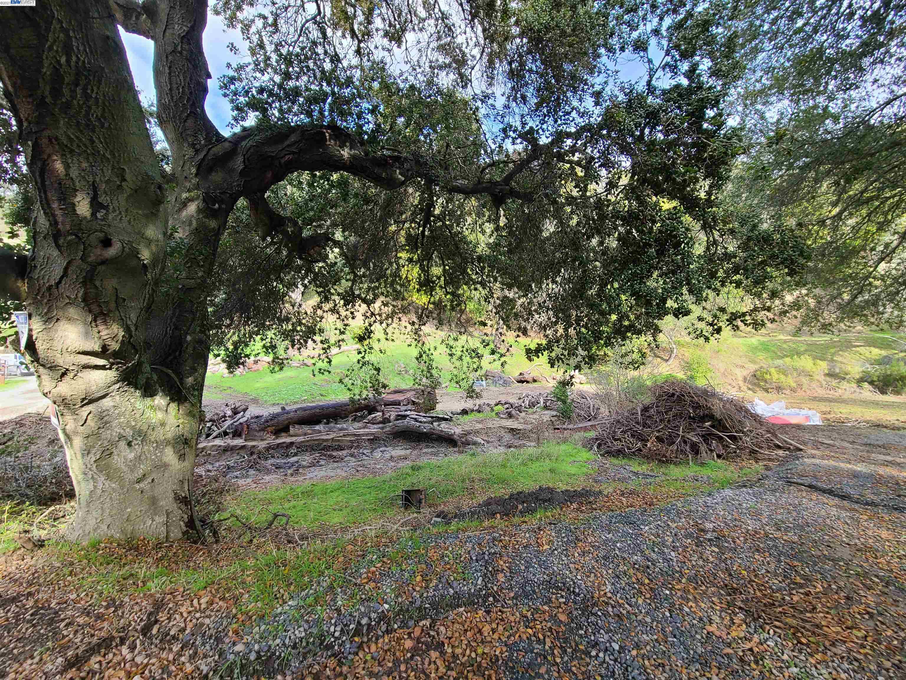 1390 Bollinger Cyn, MORAGA, California 94556, ,Lots And Land,For Sale,Bollinger Cyn,40976053