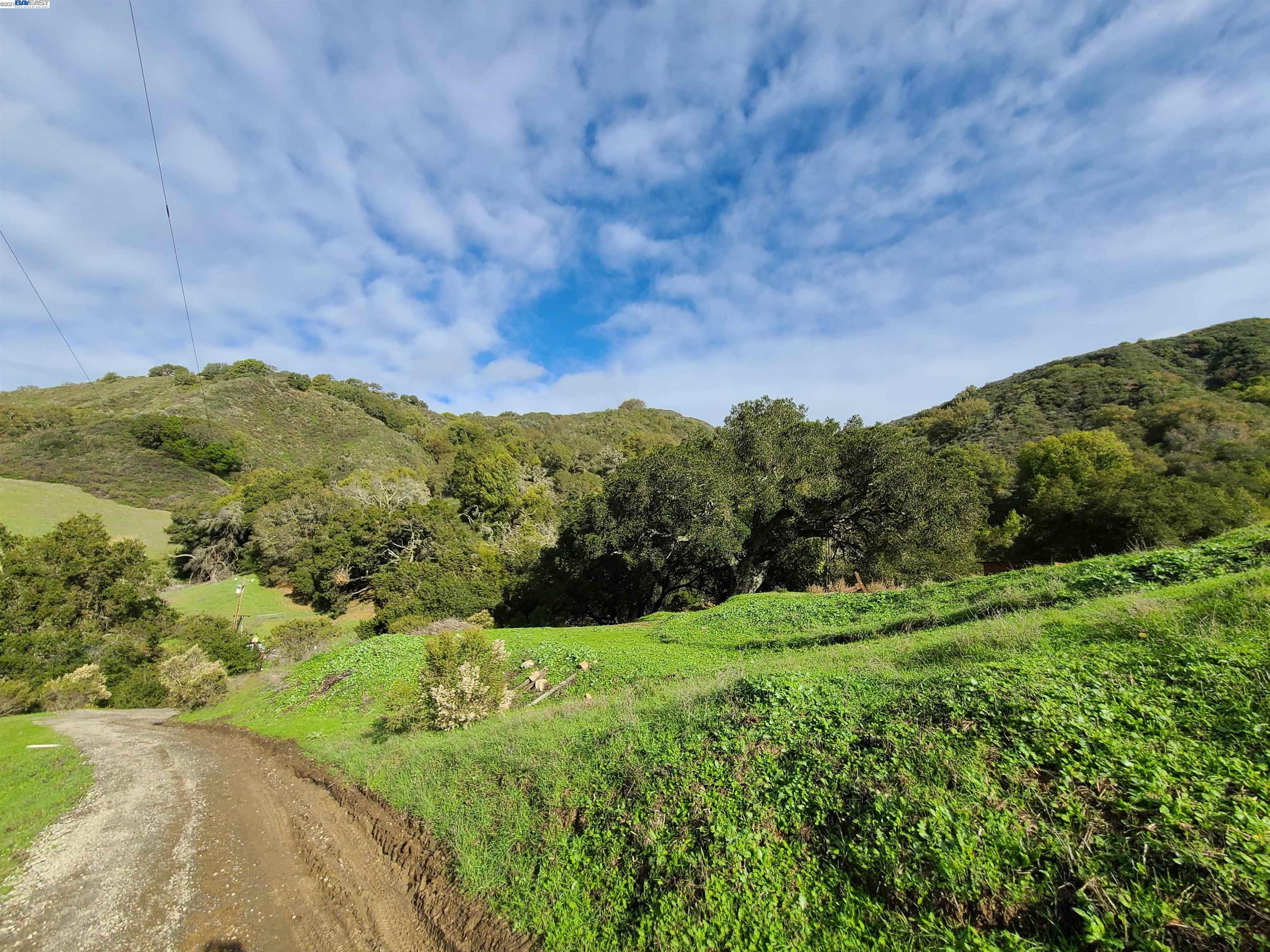 1390 Bollinger Cyn, MORAGA, California 94556, ,Lots And Land,For Sale,Bollinger Cyn,40976053