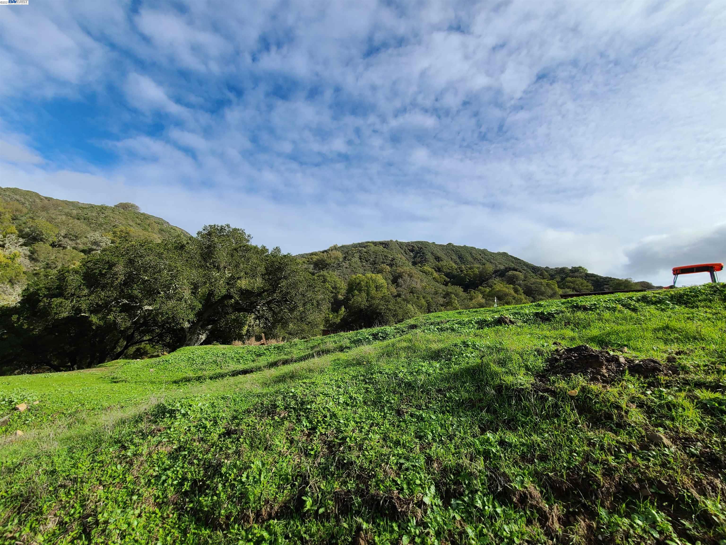 1390 Bollinger Cyn, MORAGA, California 94556, ,Lots And Land,For Sale,Bollinger Cyn,40976053