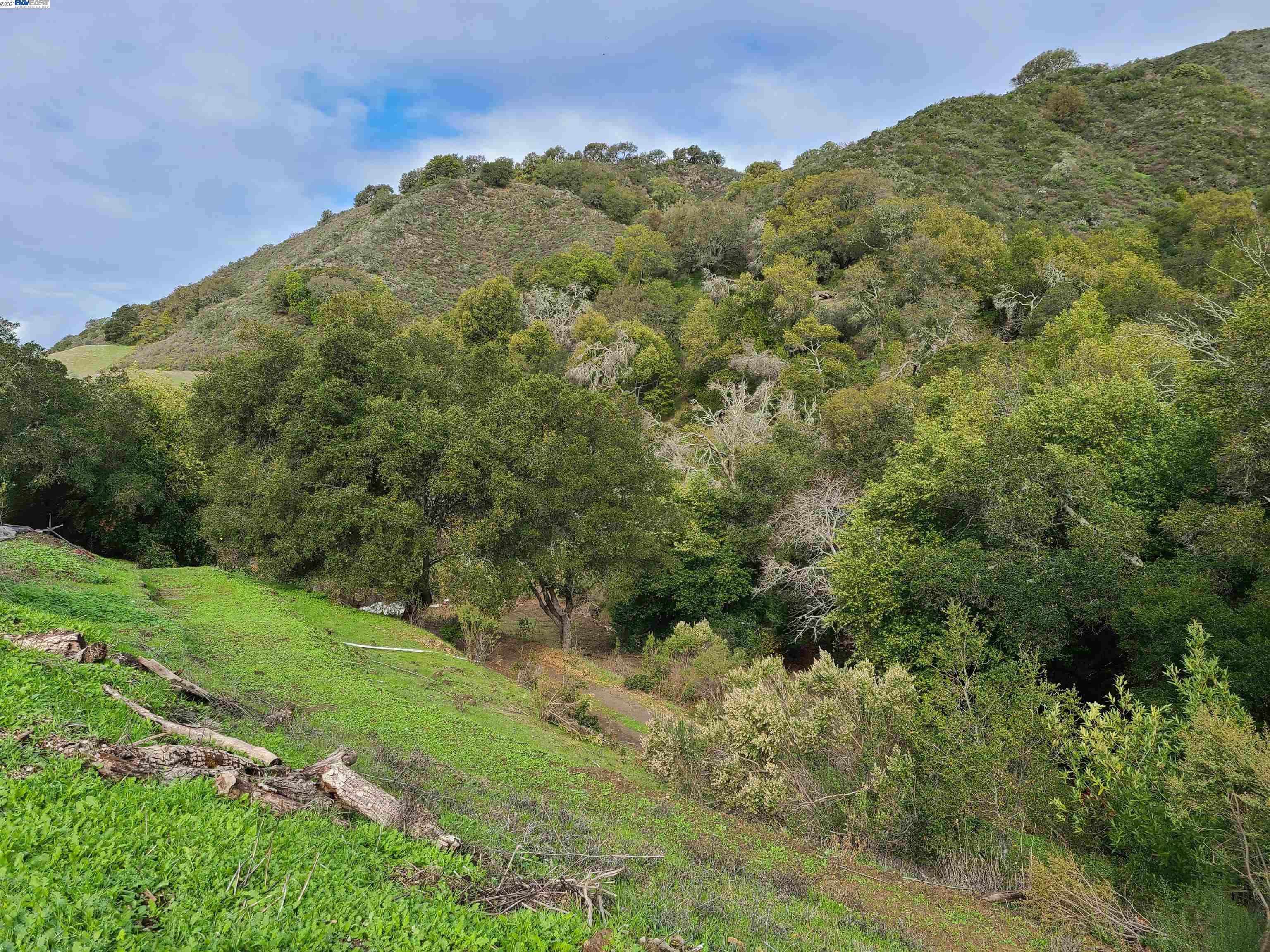 1390 Bollinger Cyn, MORAGA, California 94556, ,Lots And Land,For Sale,Bollinger Cyn,40976053