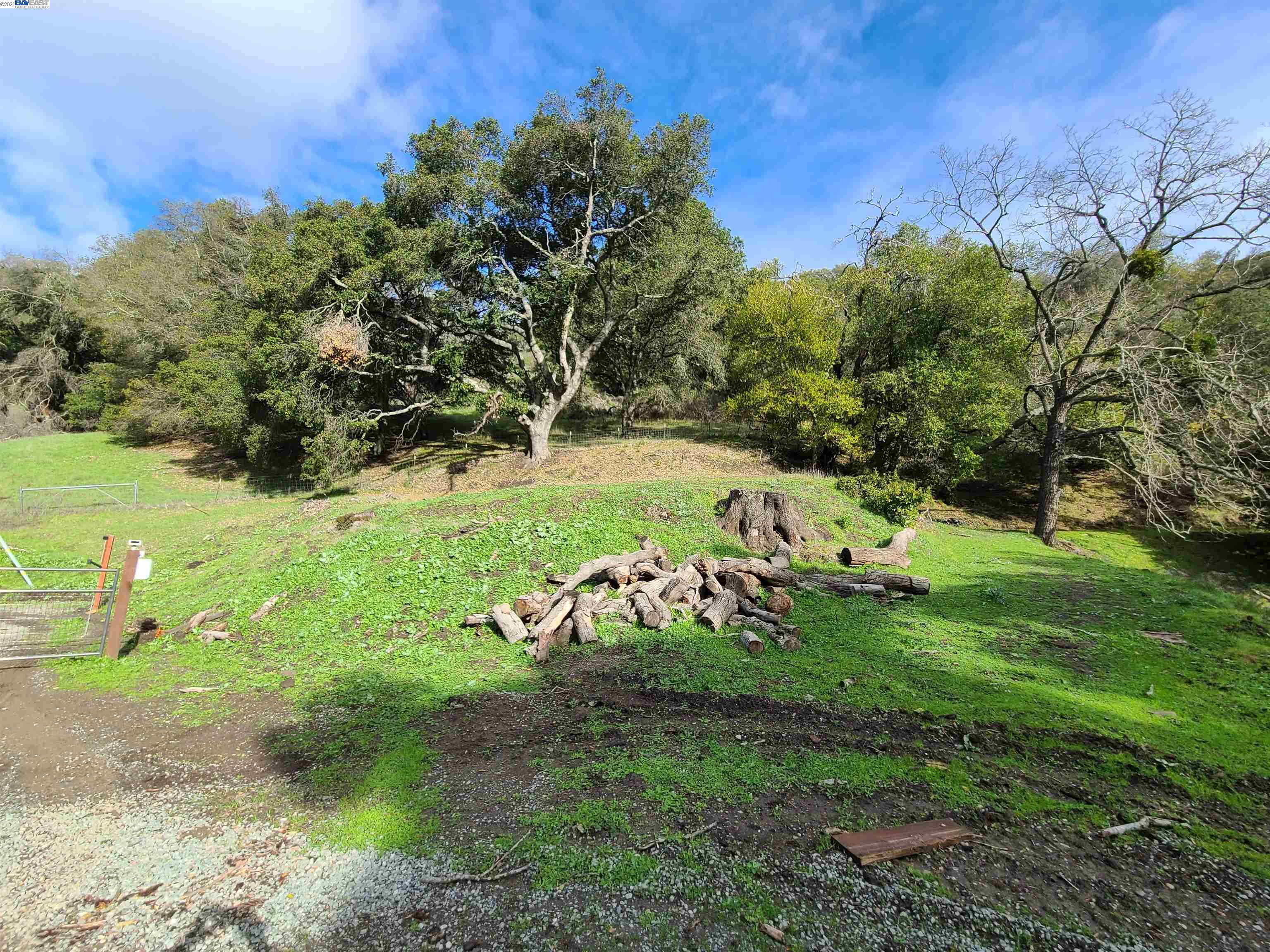 1390 Bollinger Cyn, MORAGA, California 94556, ,Lots And Land,For Sale,Bollinger Cyn,40976053