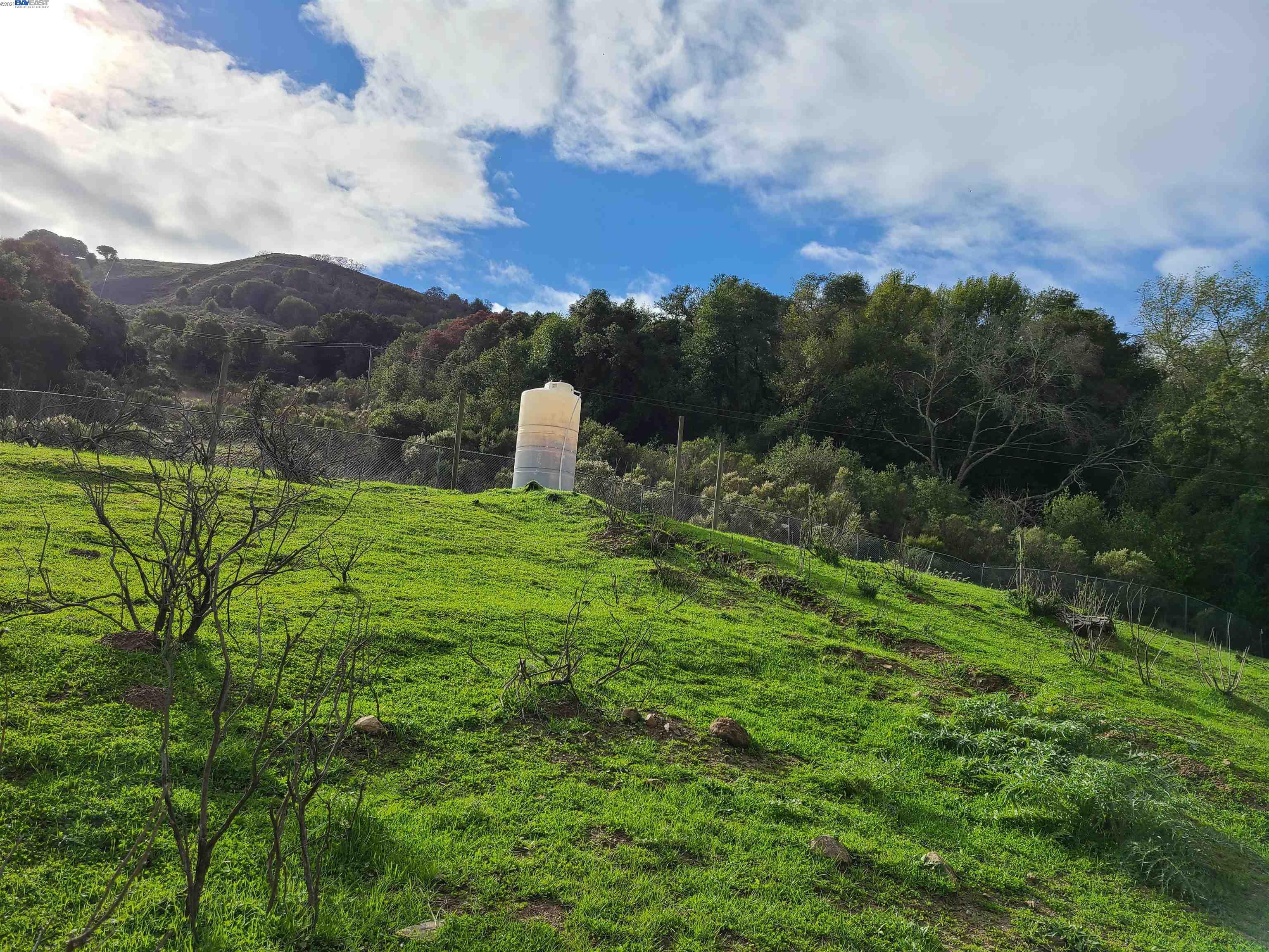 1390 Bollinger Cyn, MORAGA, California 94556, ,Lots And Land,For Sale,Bollinger Cyn,40976053