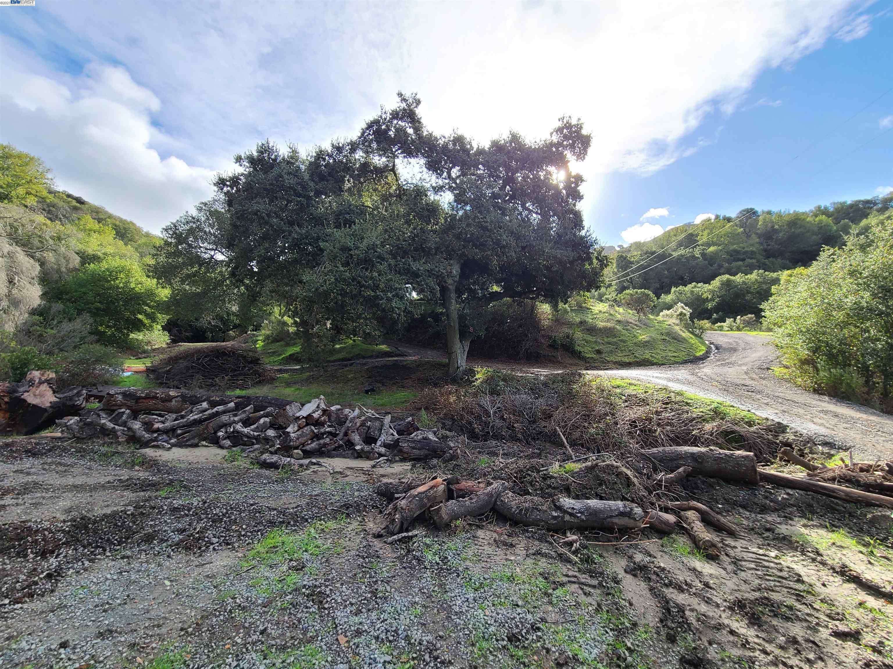 1390 Bollinger Cyn, MORAGA, California 94556, ,Lots And Land,For Sale,Bollinger Cyn,40976053