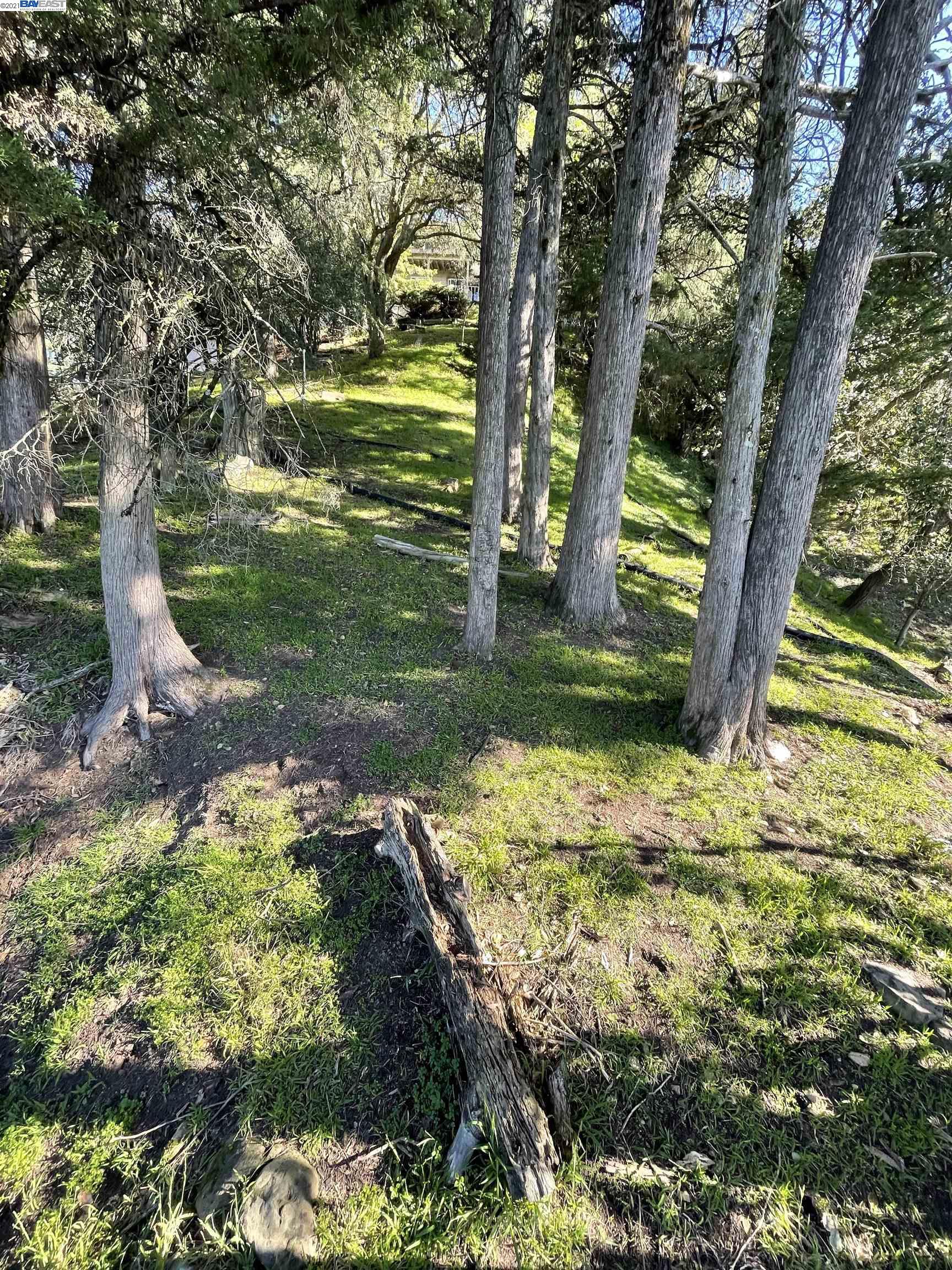 0 Chelsea Dr, OAKLAND, California 94611, ,Lots And Land,For Sale,Chelsea Dr,40976055