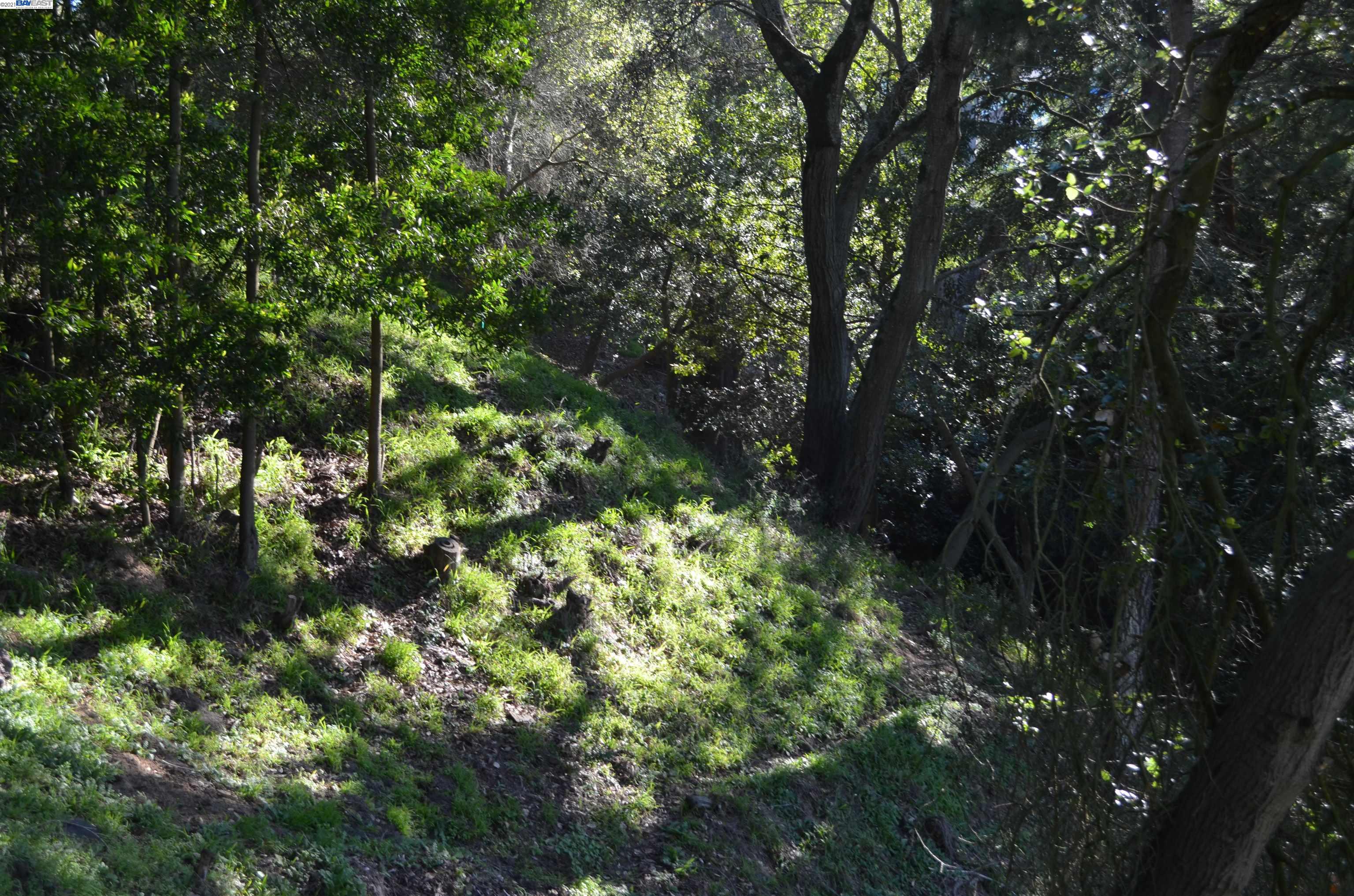 0 Chelsea Dr, OAKLAND, California 94611, ,Lots And Land,For Sale,Chelsea Dr,40976055