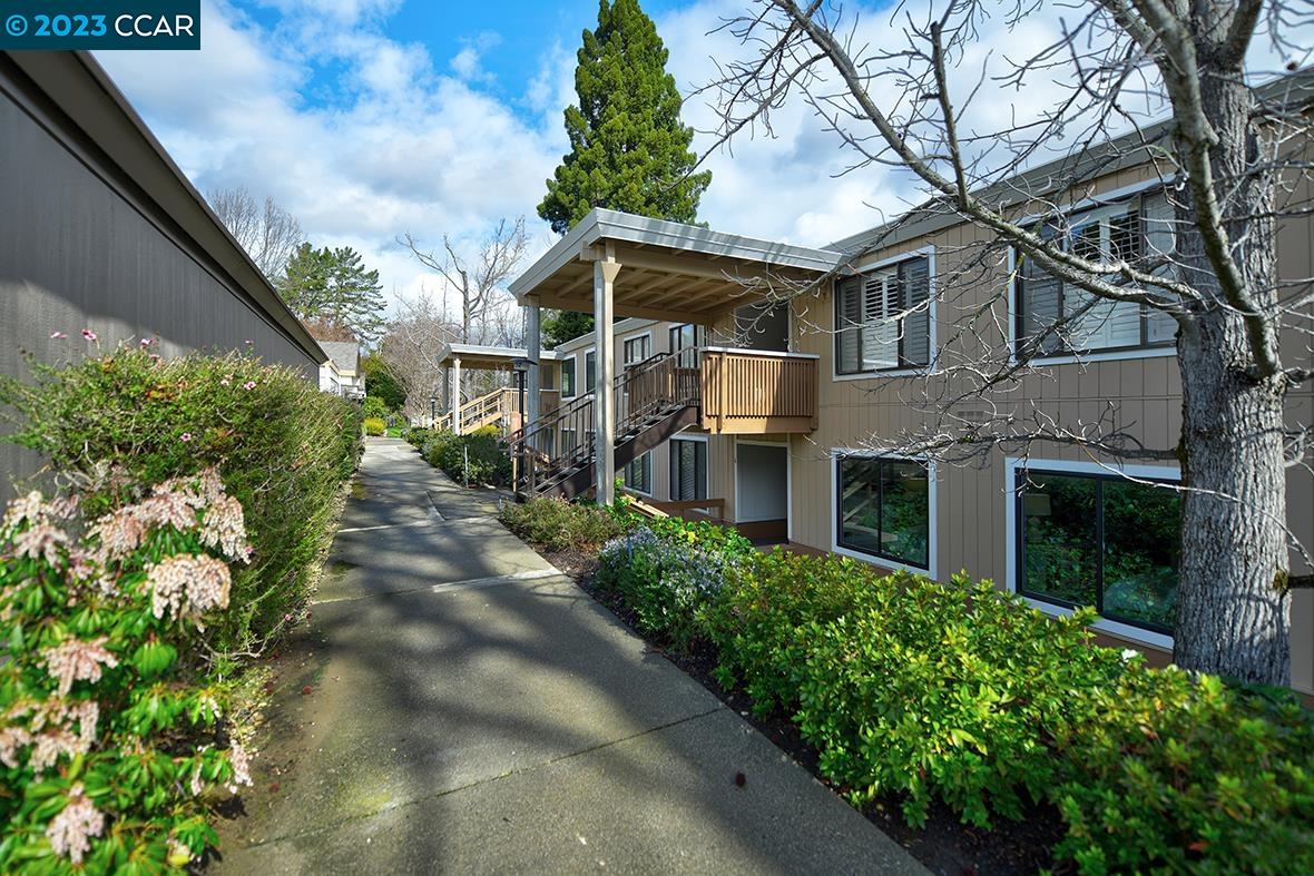Walnut Creek Condos For Sale