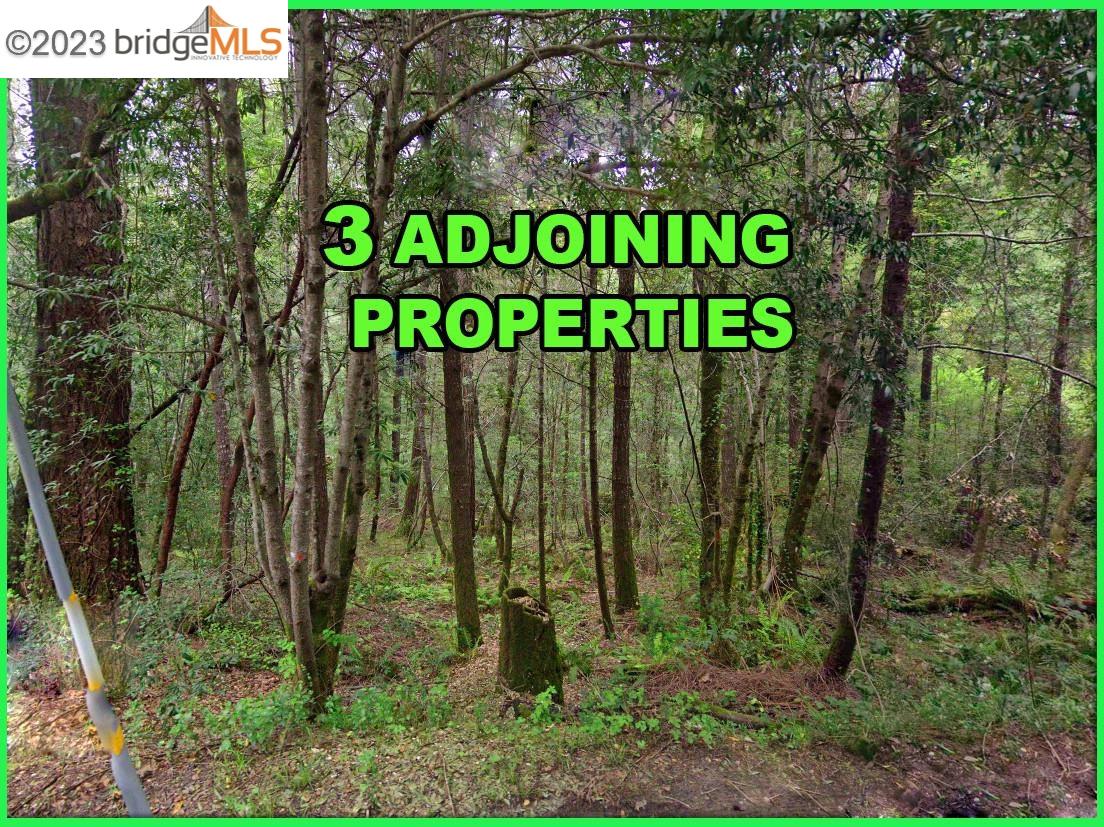 6060 Old Austin Creek Rd Cazadero, California, United States Home For