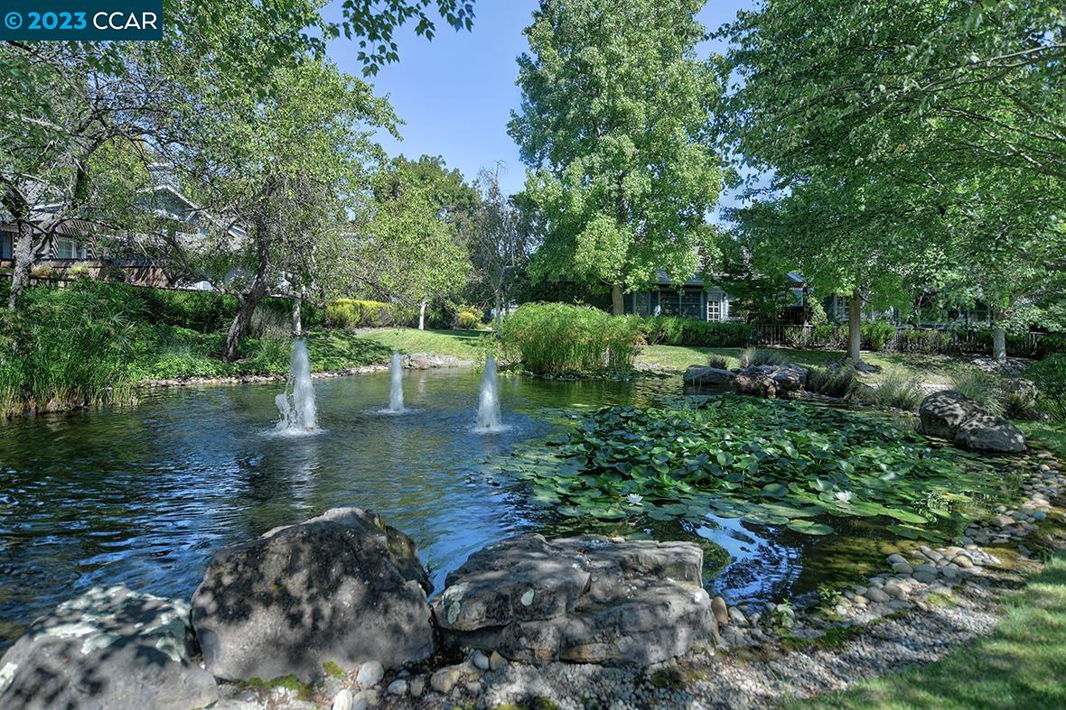 Walnut Creek Real Estate Walnut Creek, CA Homes for Sale Erin McKeon