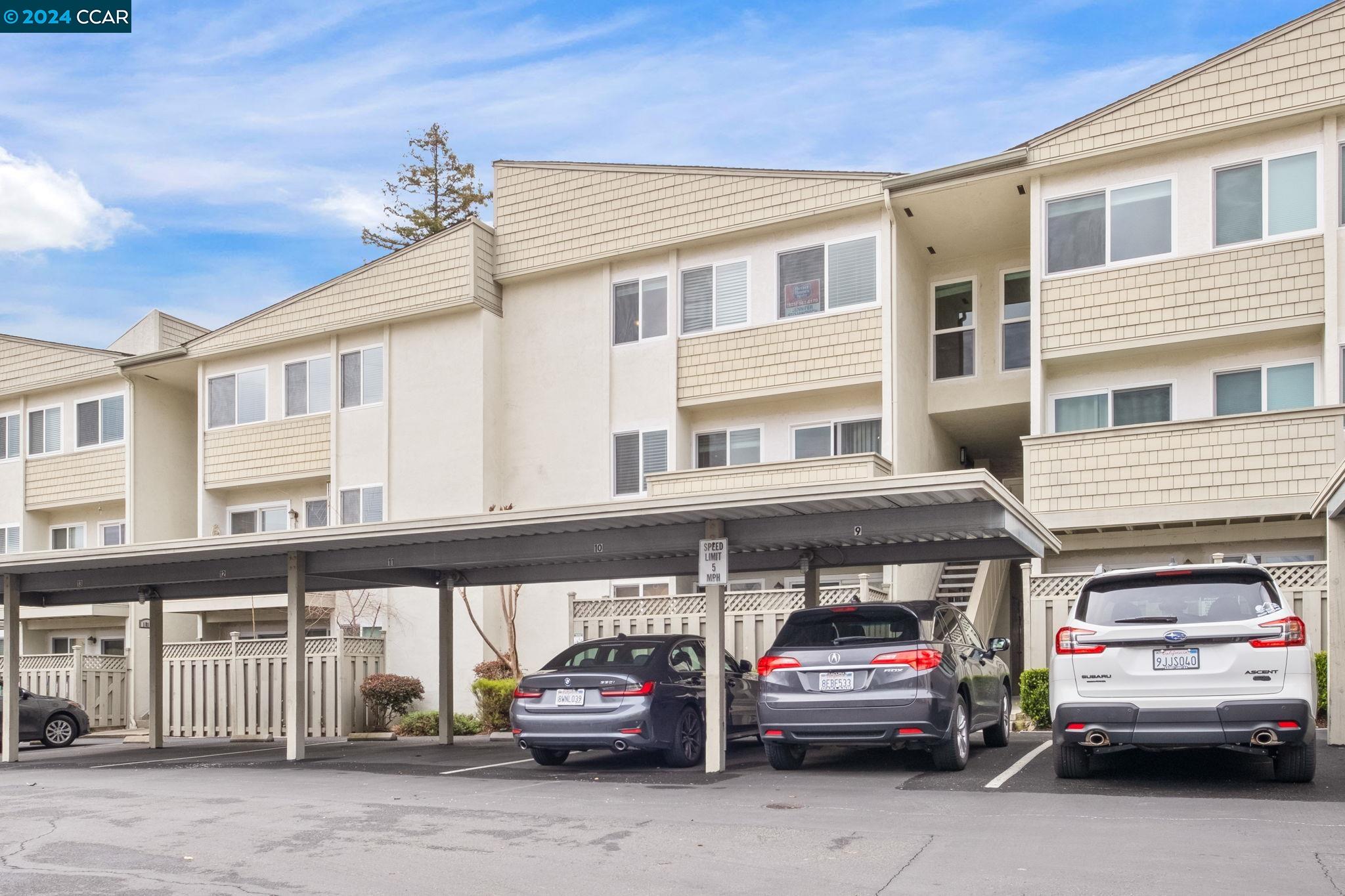 Detail Gallery Image 1 of 1 For 1810 Cole Ave #3,  Walnut Creek,  CA 94596 - 3 Beds | 1/1 Baths