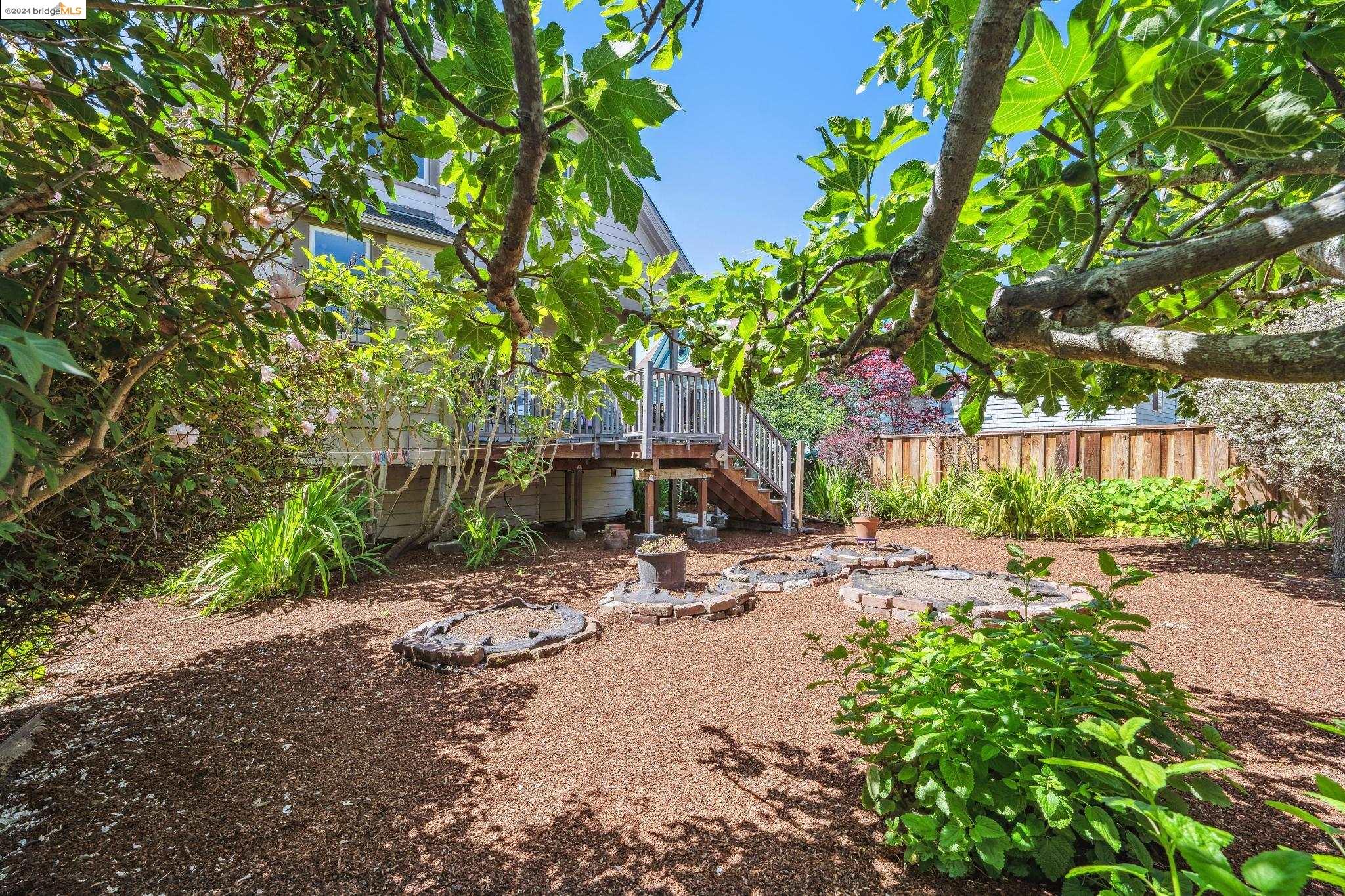 Detail Gallery Image 52 of 58 For 2119 Essex St, Berkeley,  CA 94705 - 4 Beds | 2 Baths