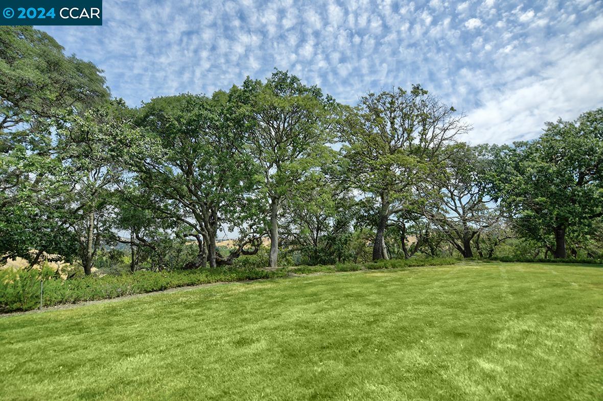 ROSSMOOR Condos For Sale in WALNUT CREEK East Bay Condo Mania!