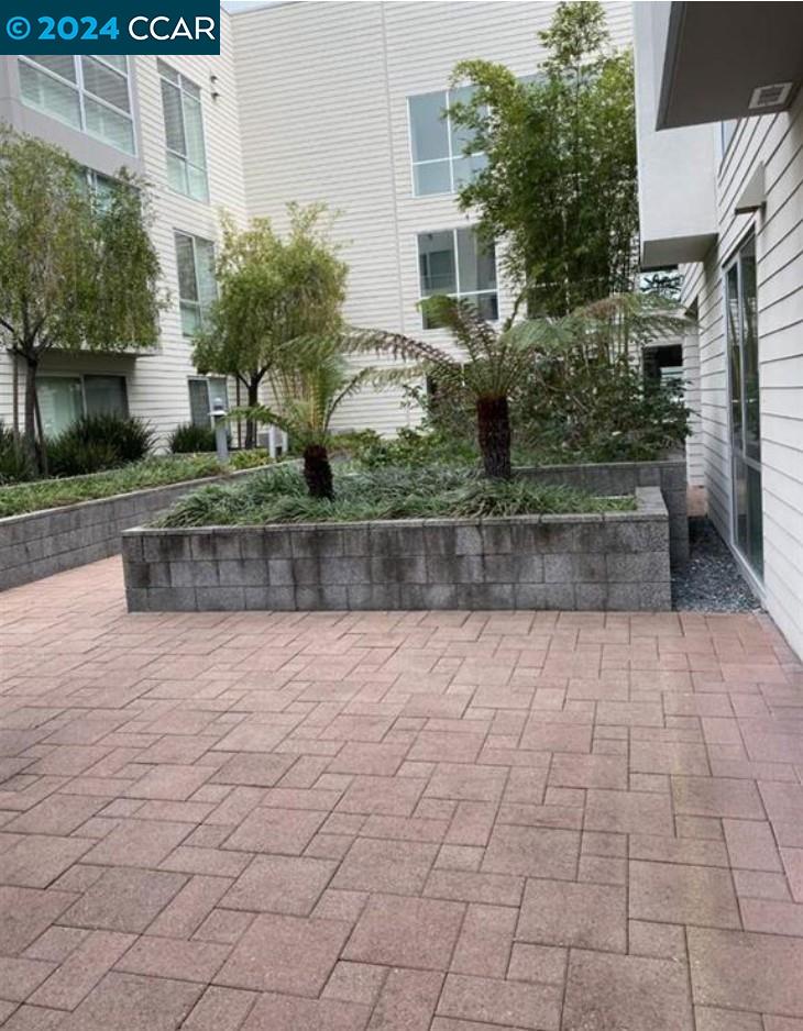 1655 N California Blvd # 246, Walnut Creek, California 94596, 1 Bedroom Bedrooms, 3 Rooms Rooms,1 BathroomBathrooms,Residential Lease,For Rent,1655 N California Blvd # 246,41065278