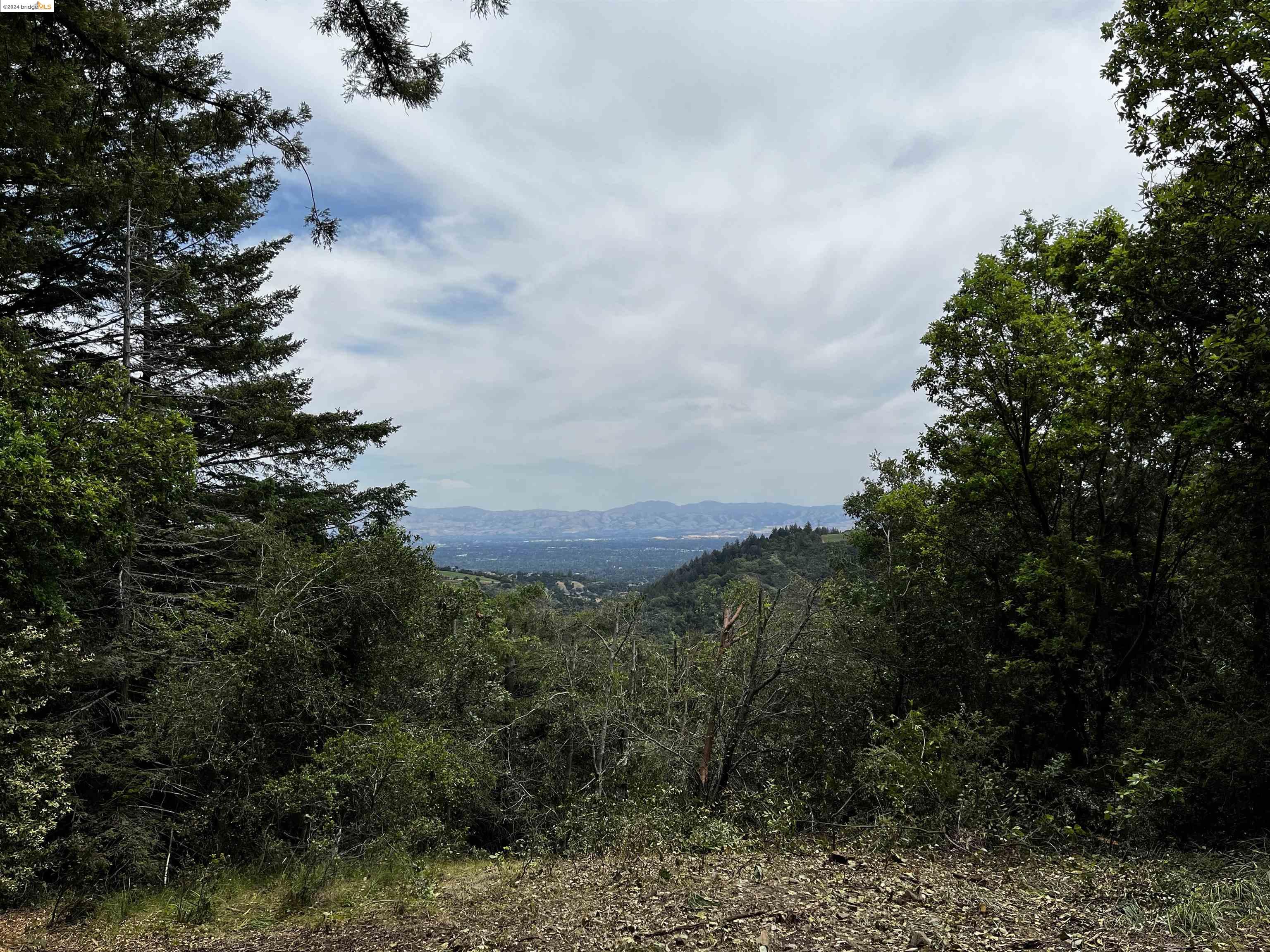 0 Congress Springs Rd, Saratoga, California 95070, ,Land,For Sale,0 Congress Springs Rd,41073252