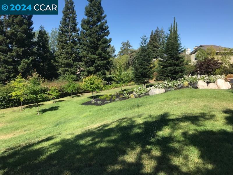 781-2 Lakemont Place, San Ramon, California 94582, 2 Bedrooms Bedrooms, 7 Rooms Rooms,2 BathroomsBathrooms,Residential Lease,For Rent,781-2 Lakemont Place,41073450