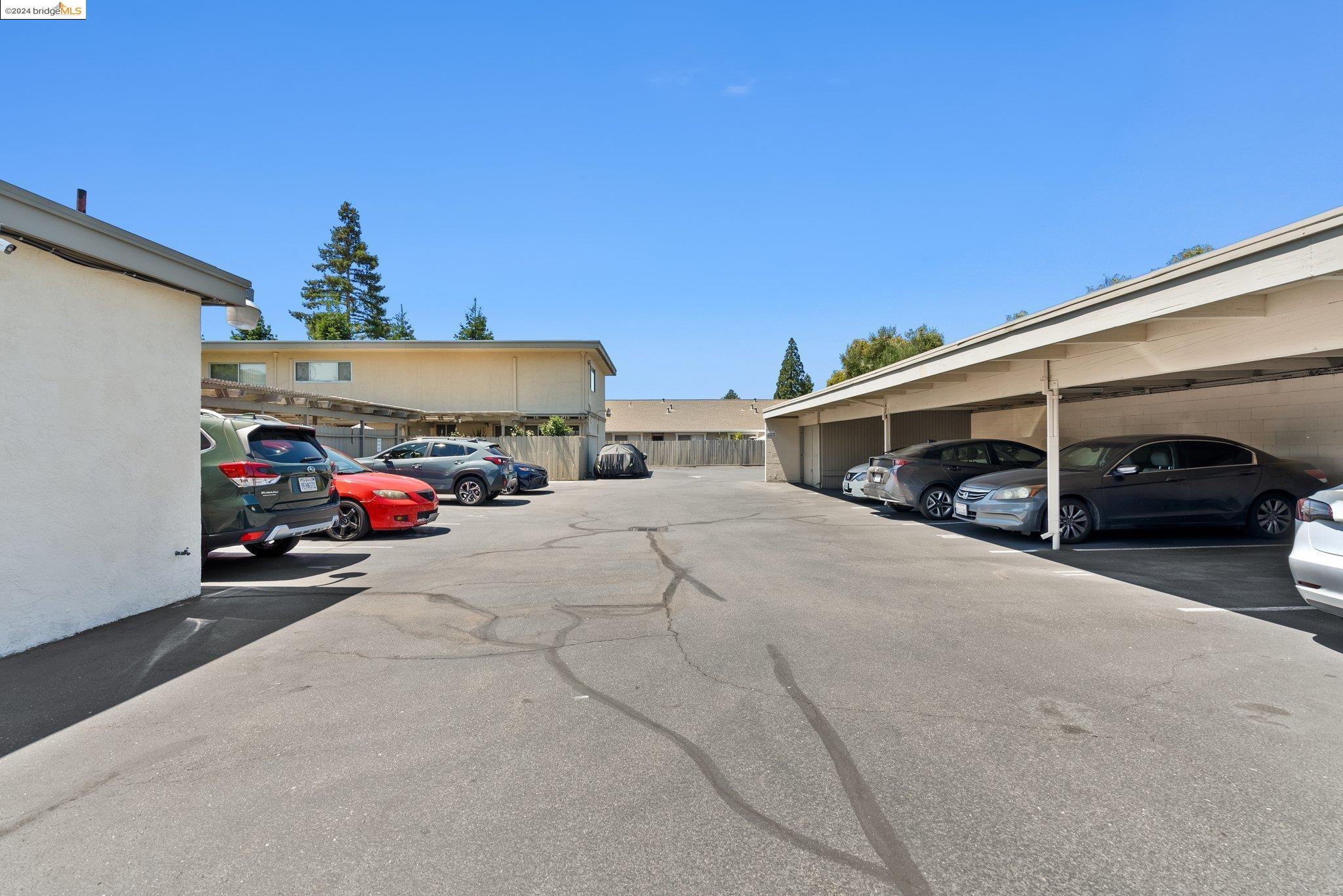 3515 Chestnut Ave, Concord, California 94519, ,Commercial Sale,For Sale,3515 Chestnut Ave,41073626