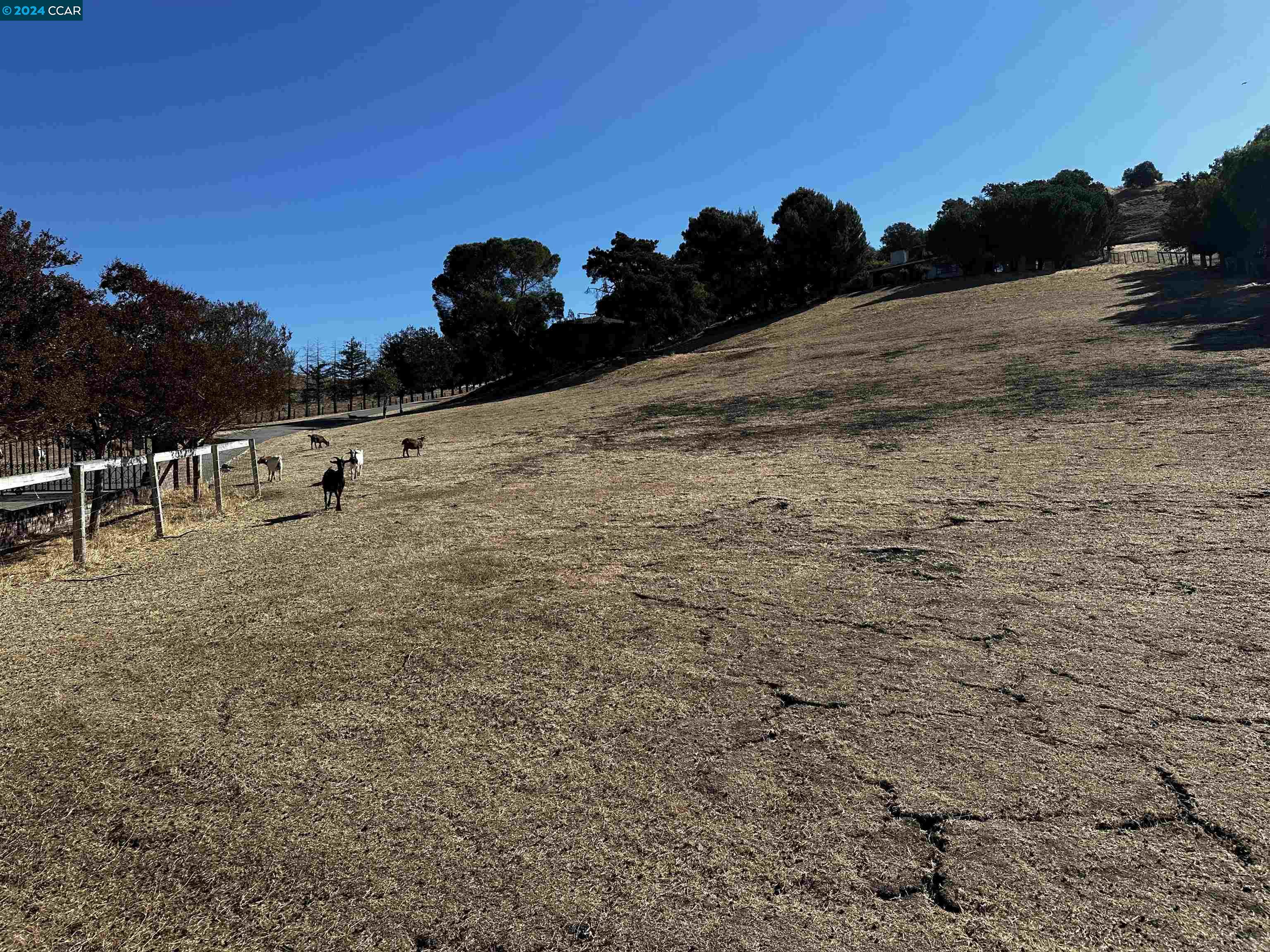 12 Leabig Ln, Martinez, California 94553, 3 Bedrooms Bedrooms, 9 Rooms Rooms,2 BathroomsBathrooms,Residential,For Sale,12 Leabig Ln,41076718