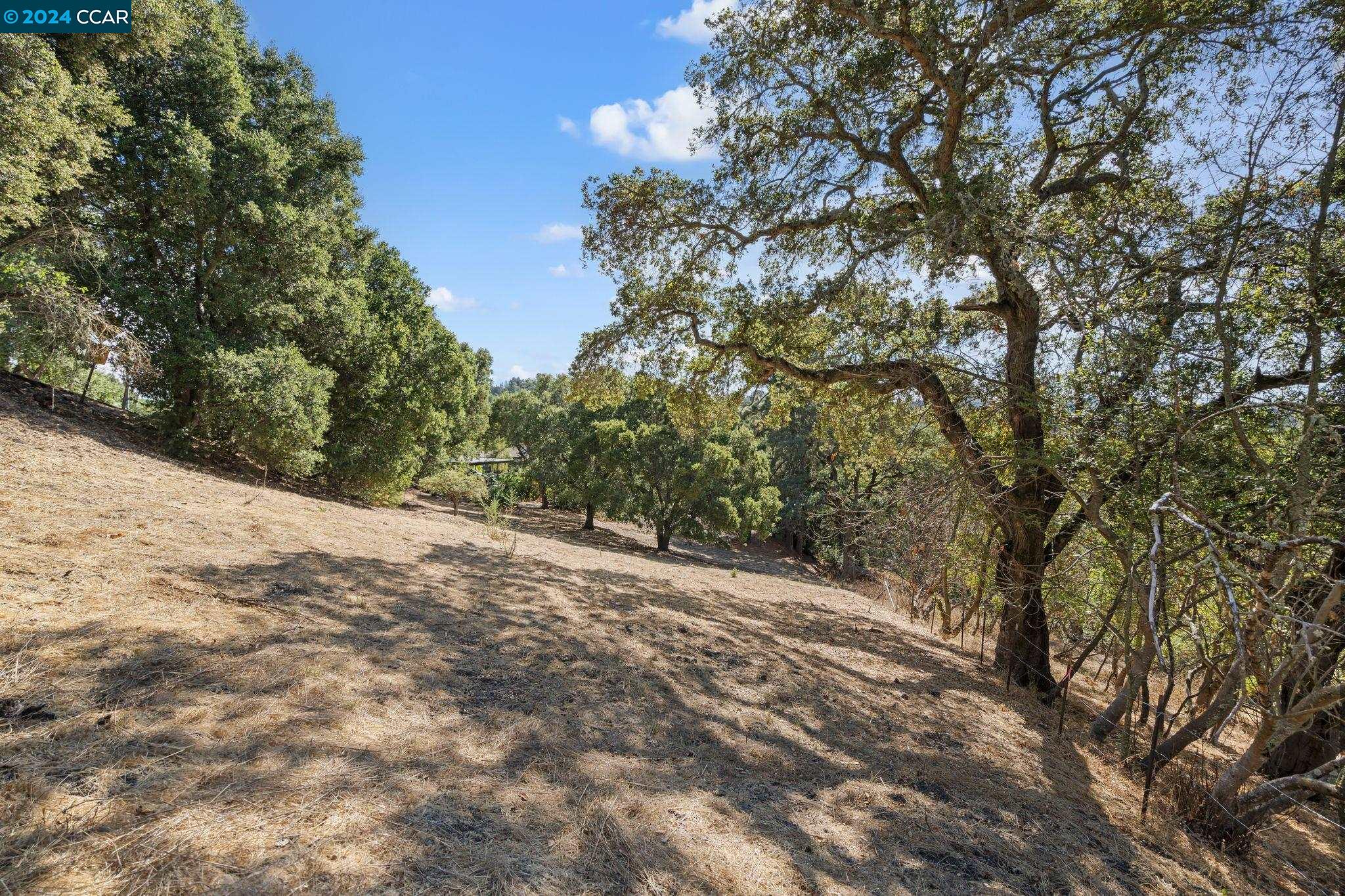 9 Charles Hill Rd, Orinda, California 94563, ,Land,For Sale,9 Charles Hill Rd,41077019