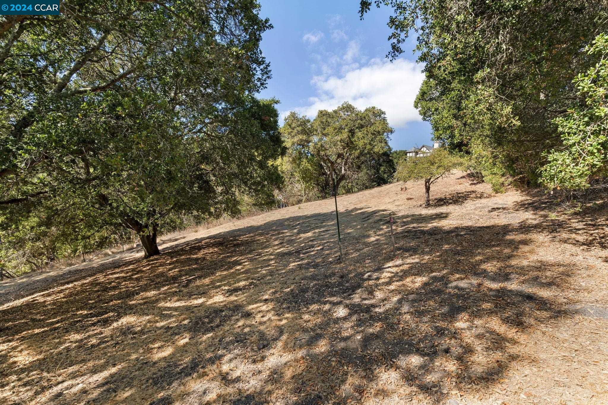 9 Charles Hill Rd, Orinda, California 94563, ,Land,For Sale,9 Charles Hill Rd,41077019