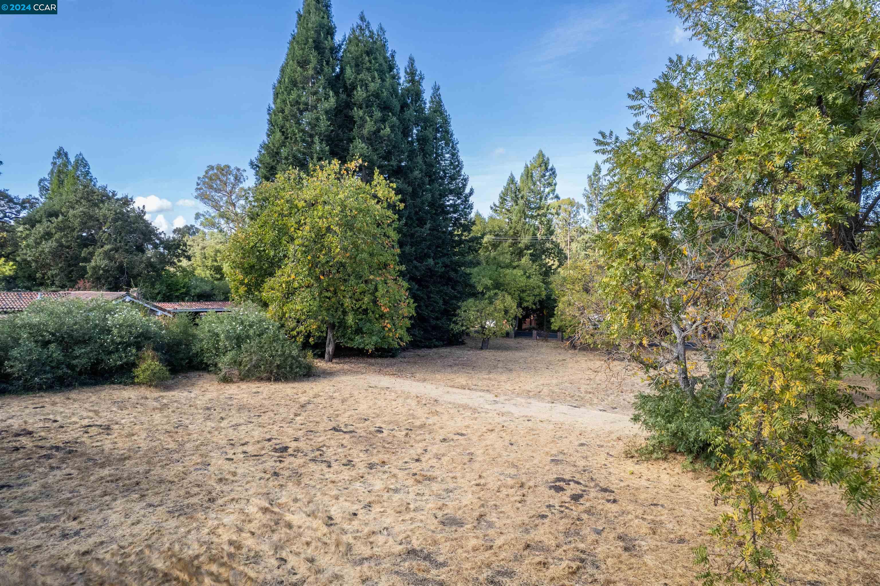 109 Castle Hill Ranch Rd, Walnut Creek, California 94595, ,Land,For Sale,109 Castle Hill Ranch Rd,41078624