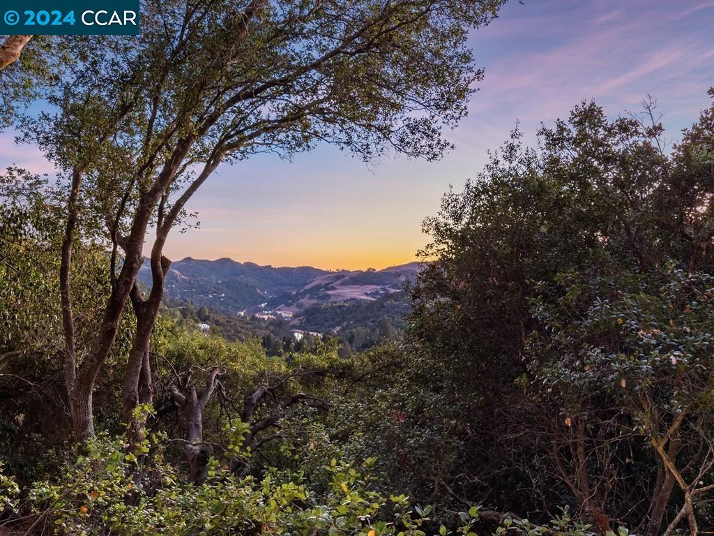 27 Charles Hill Cir, Orinda, California 94563, 3 Bedrooms Bedrooms, 7 Rooms Rooms,1 BathroomBathrooms,Residential,For Sale,27 Charles Hill Cir,41078707