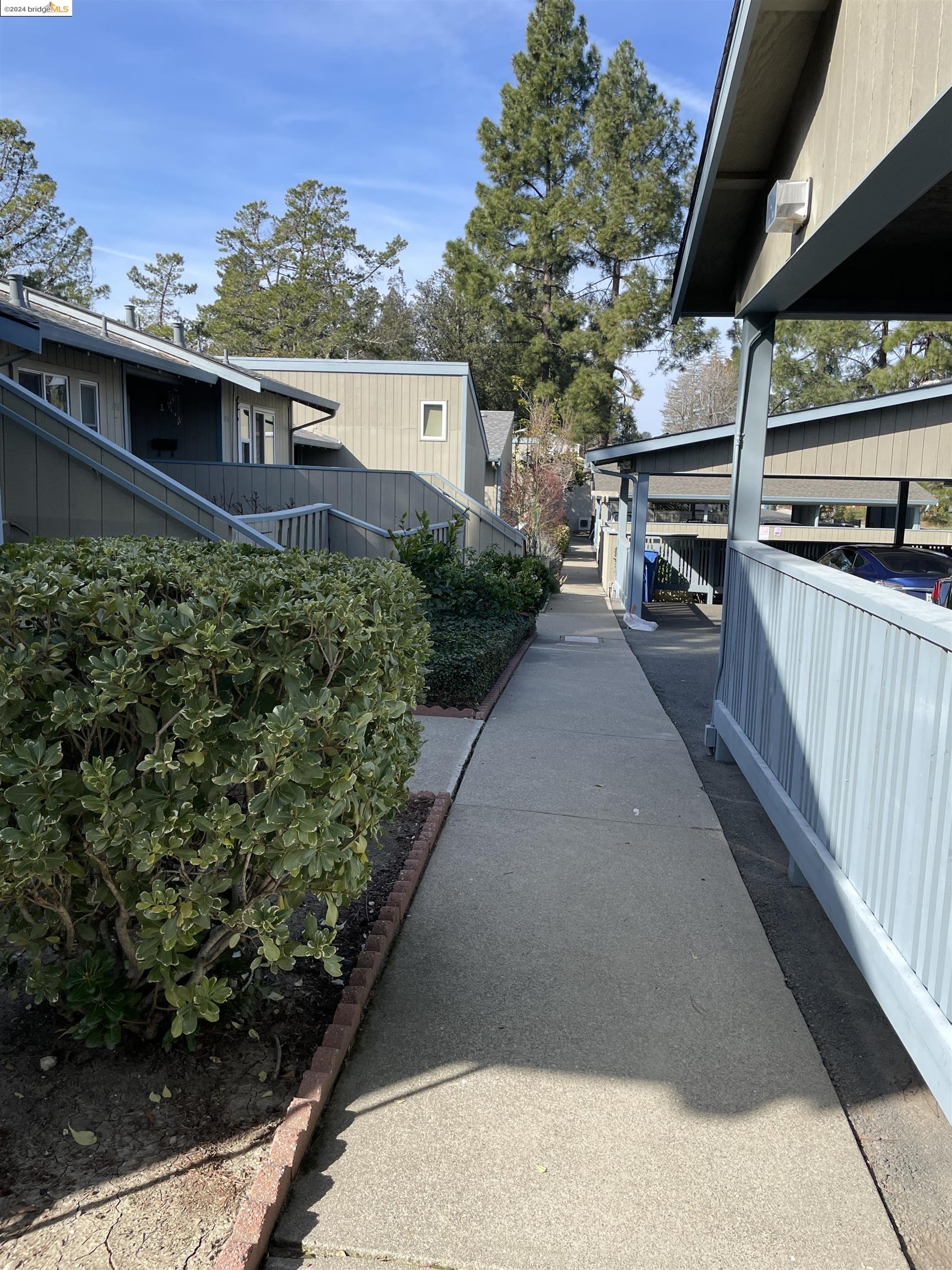 1960 Ascot Dr, Moraga, California 94556, 3 Bedrooms Bedrooms, 7 Rooms Rooms,2 BathroomsBathrooms,Residential Lease,For Rent,1960 Ascot Dr,41079502