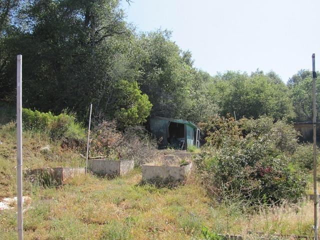 Detail Gallery Image 5 of 8 For Sec 8 Jupiter Mountaineer, Twain Harte,  CA 95383 - – Beds | – Baths