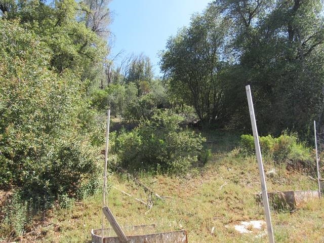 Detail Gallery Image 6 of 8 For Sec 8 Jupiter Mountaineer, Twain Harte,  CA 95383 - – Beds | – Baths