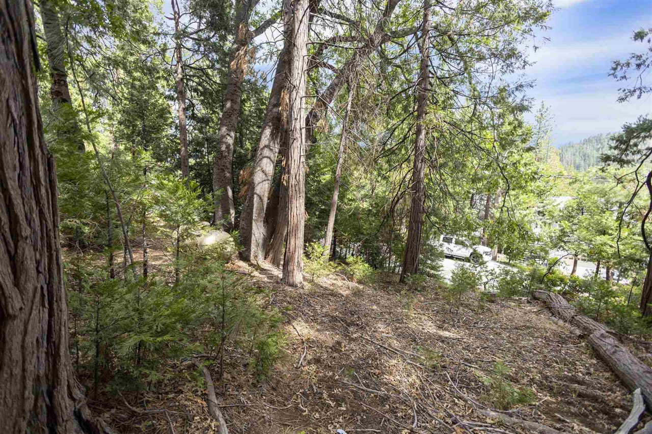 Detail Gallery Image 13 of 16 For Lot 28 Confidence, Twain Harte,  CA 95383 - – Beds | – Baths