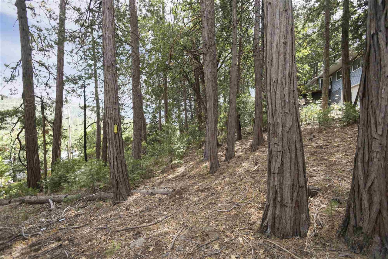 Detail Gallery Image 7 of 16 For Lot 28 Confidence, Twain Harte,  CA 95383 - – Beds | – Baths