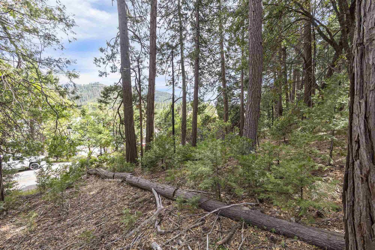 Detail Gallery Image 10 of 16 For Lot 28 Confidence, Twain Harte,  CA 95383 - – Beds | – Baths