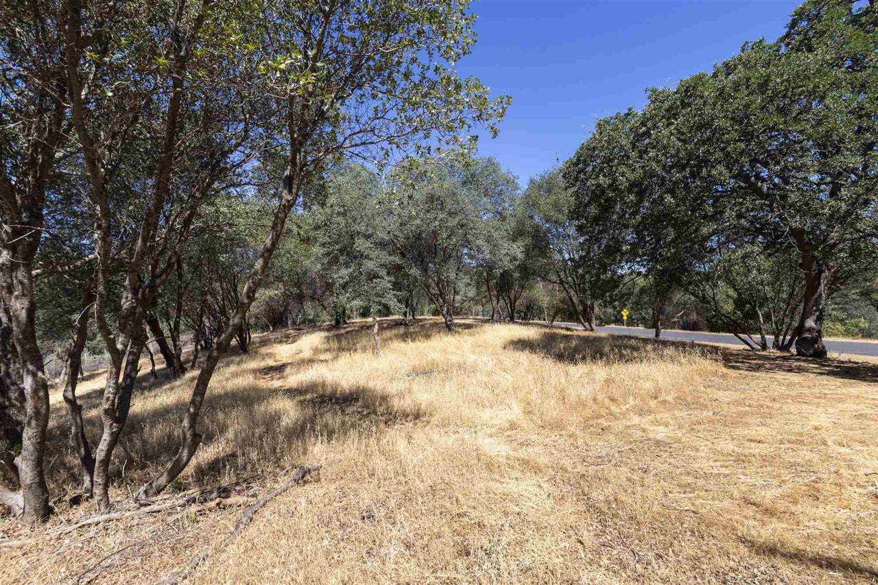 Detail Gallery Image 11 of 30 For , Sonora,  CA 95383 - – Beds | – Baths