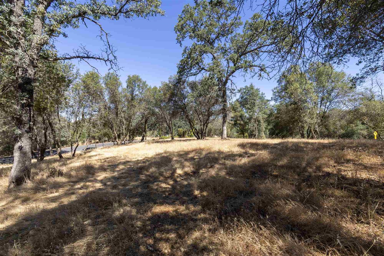 Detail Gallery Image 12 of 30 For , Sonora,  CA 95383 - – Beds | – Baths