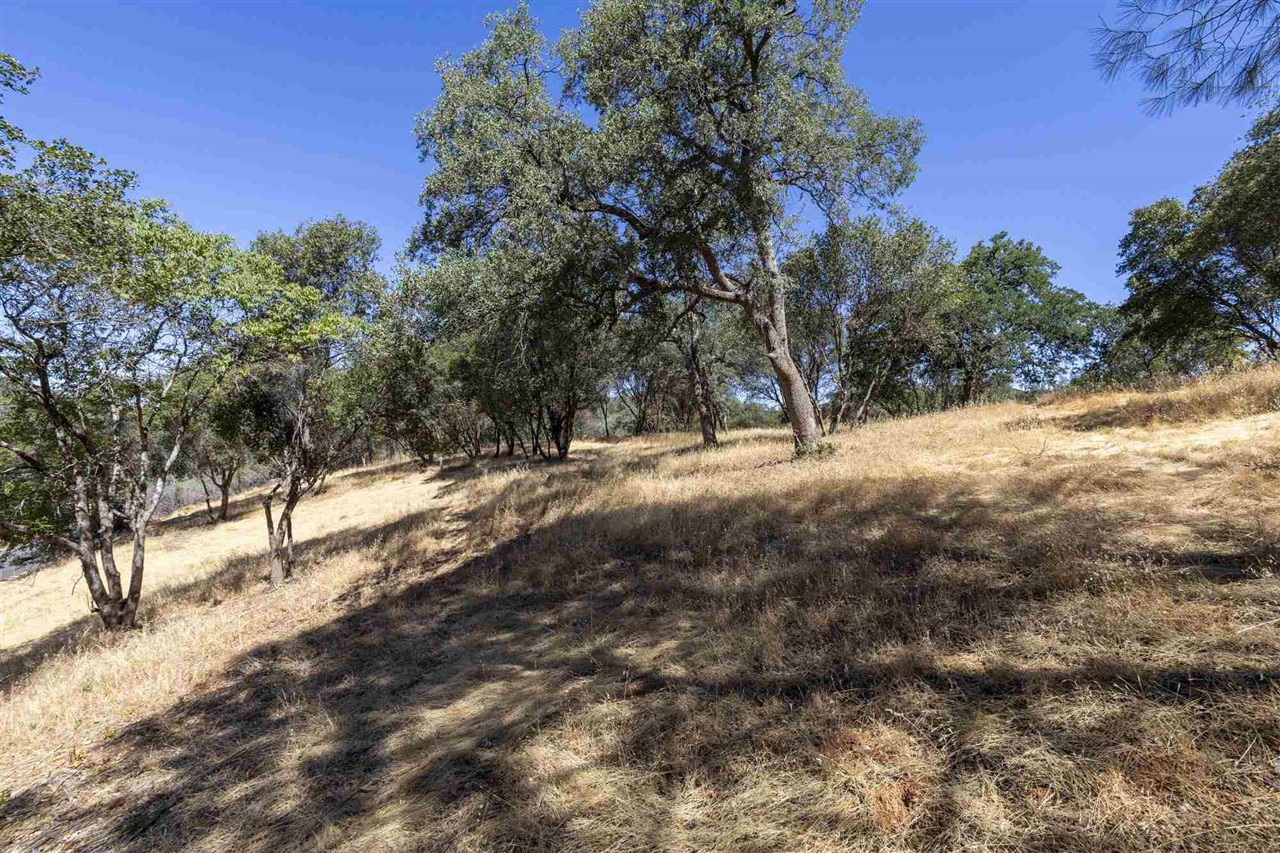 Detail Gallery Image 14 of 30 For , Sonora,  CA 95383 - – Beds | – Baths