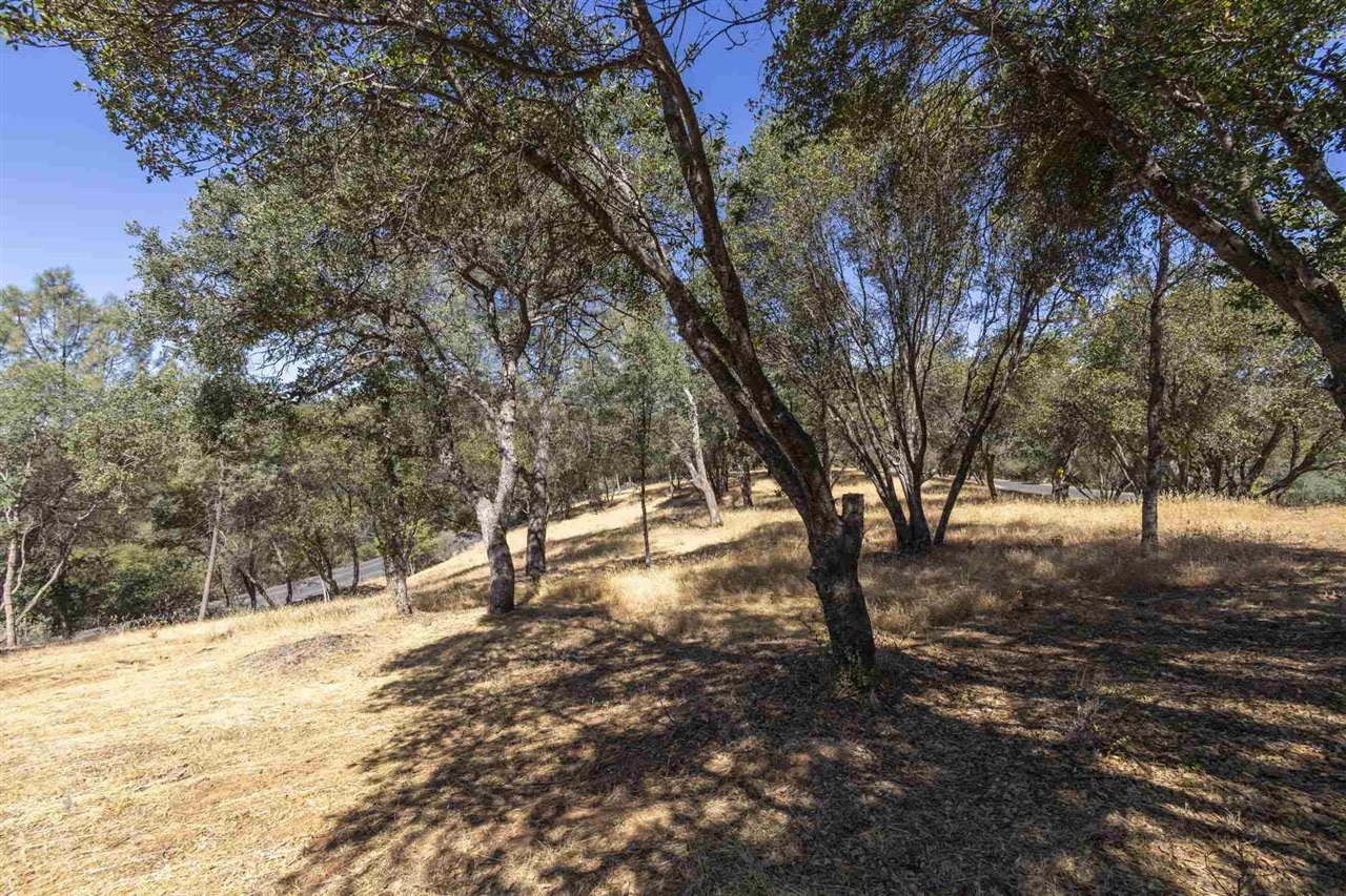 Detail Gallery Image 15 of 30 For , Sonora,  CA 95383 - – Beds | – Baths