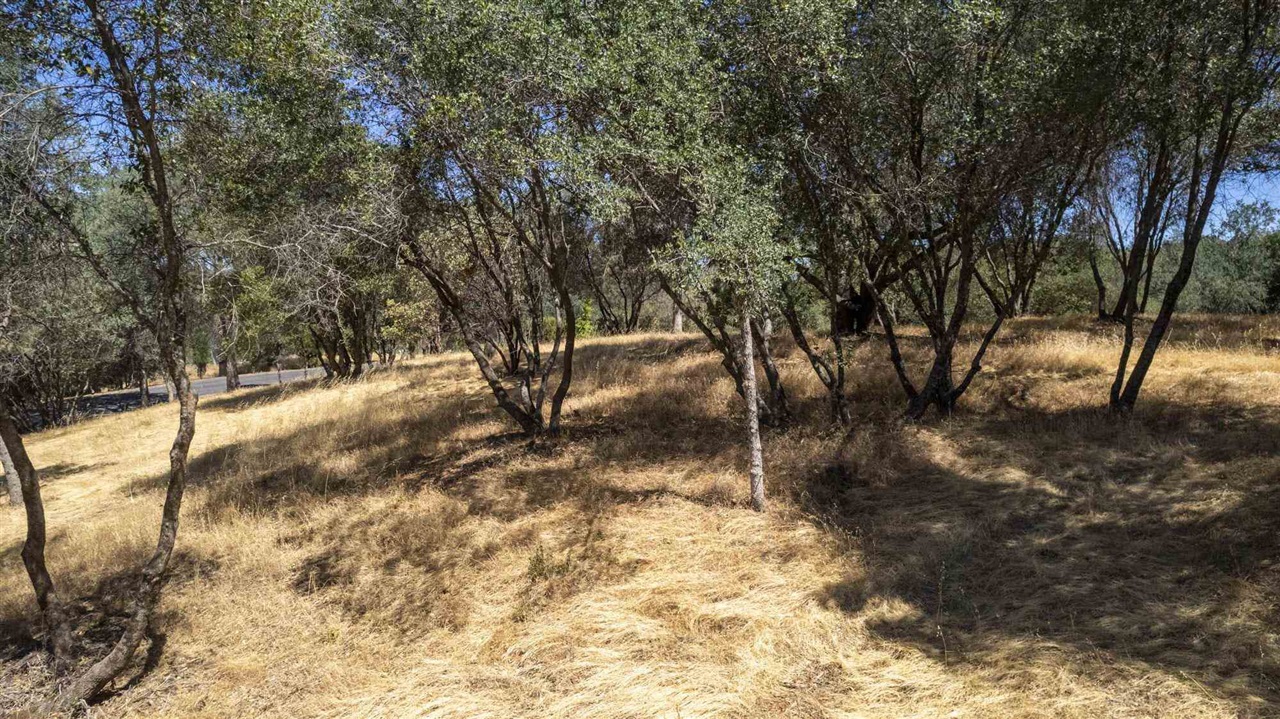 Detail Gallery Image 18 of 30 For , Sonora,  CA 95383 - – Beds | – Baths
