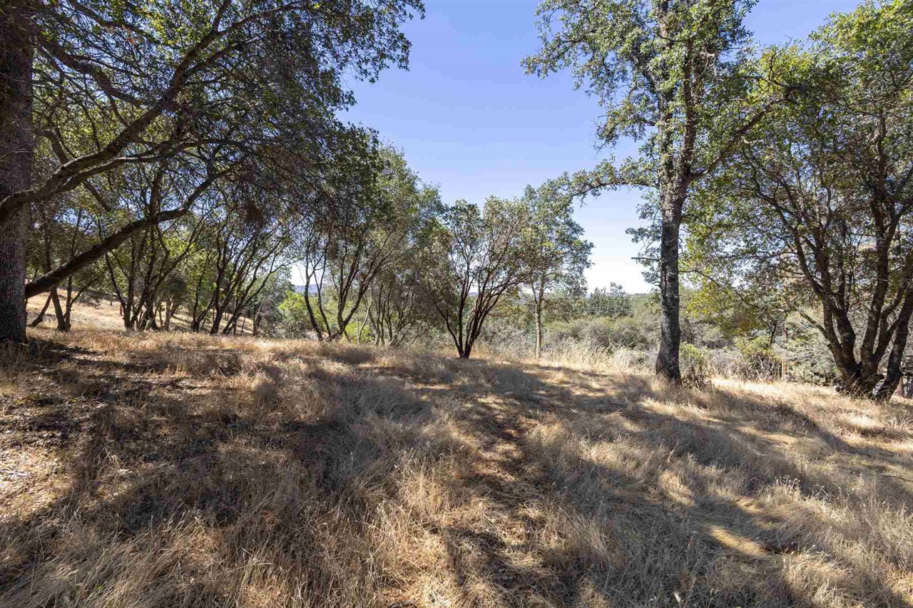 Detail Gallery Image 3 of 30 For , Sonora,  CA 95383 - – Beds | – Baths