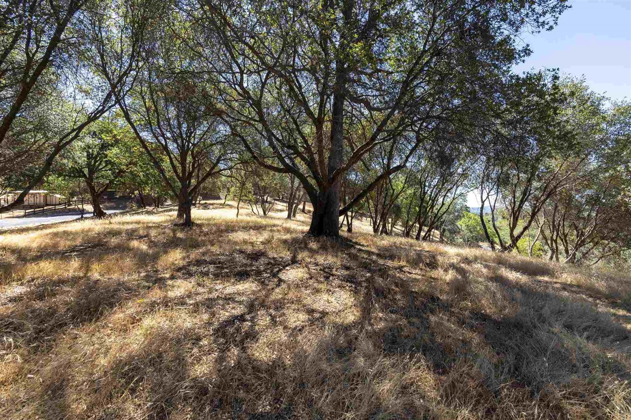 Detail Gallery Image 4 of 30 For , Sonora,  CA 95383 - – Beds | – Baths
