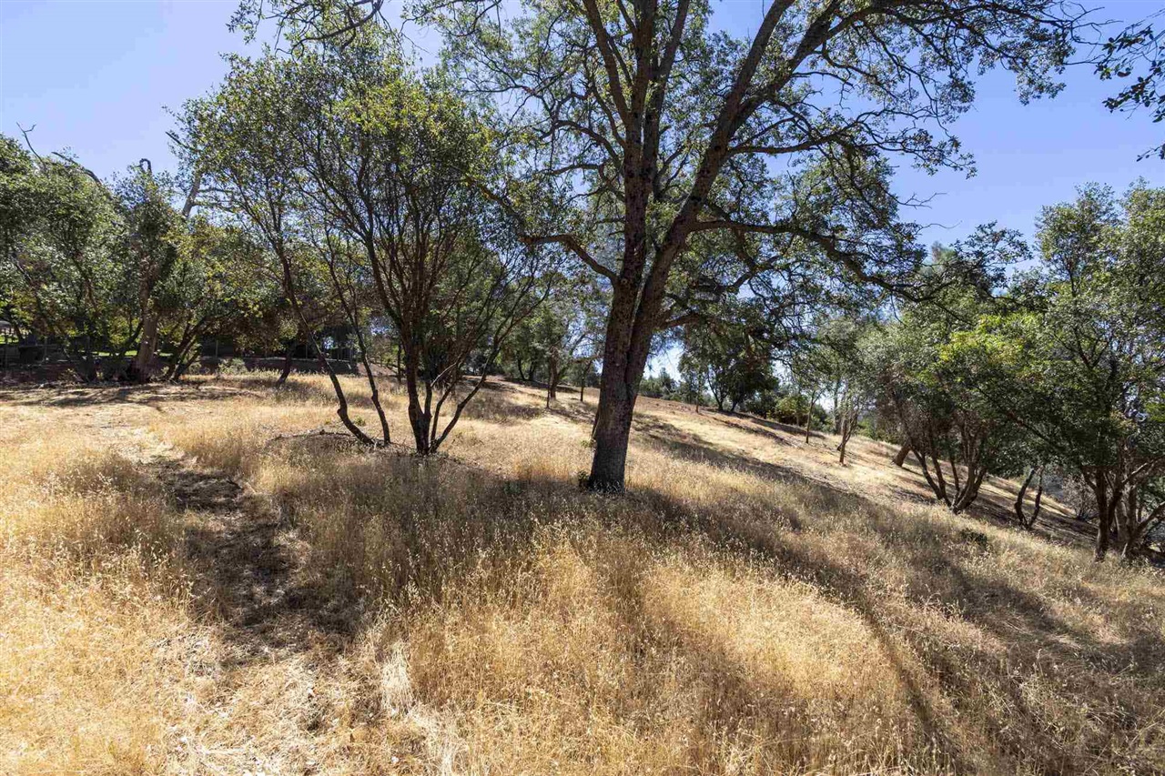 Detail Gallery Image 5 of 30 For , Sonora,  CA 95383 - – Beds | – Baths