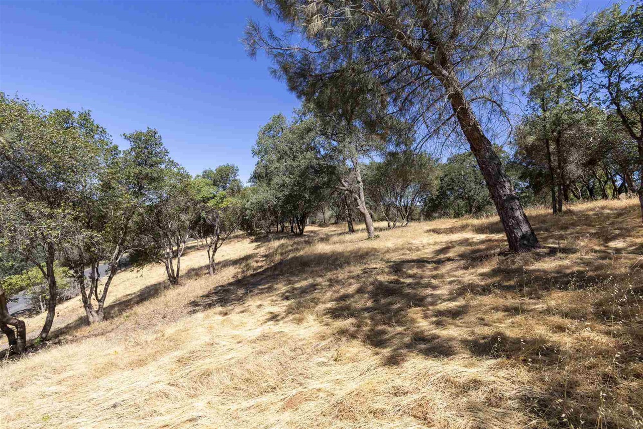 Detail Gallery Image 9 of 30 For , Sonora,  CA 95383 - – Beds | – Baths