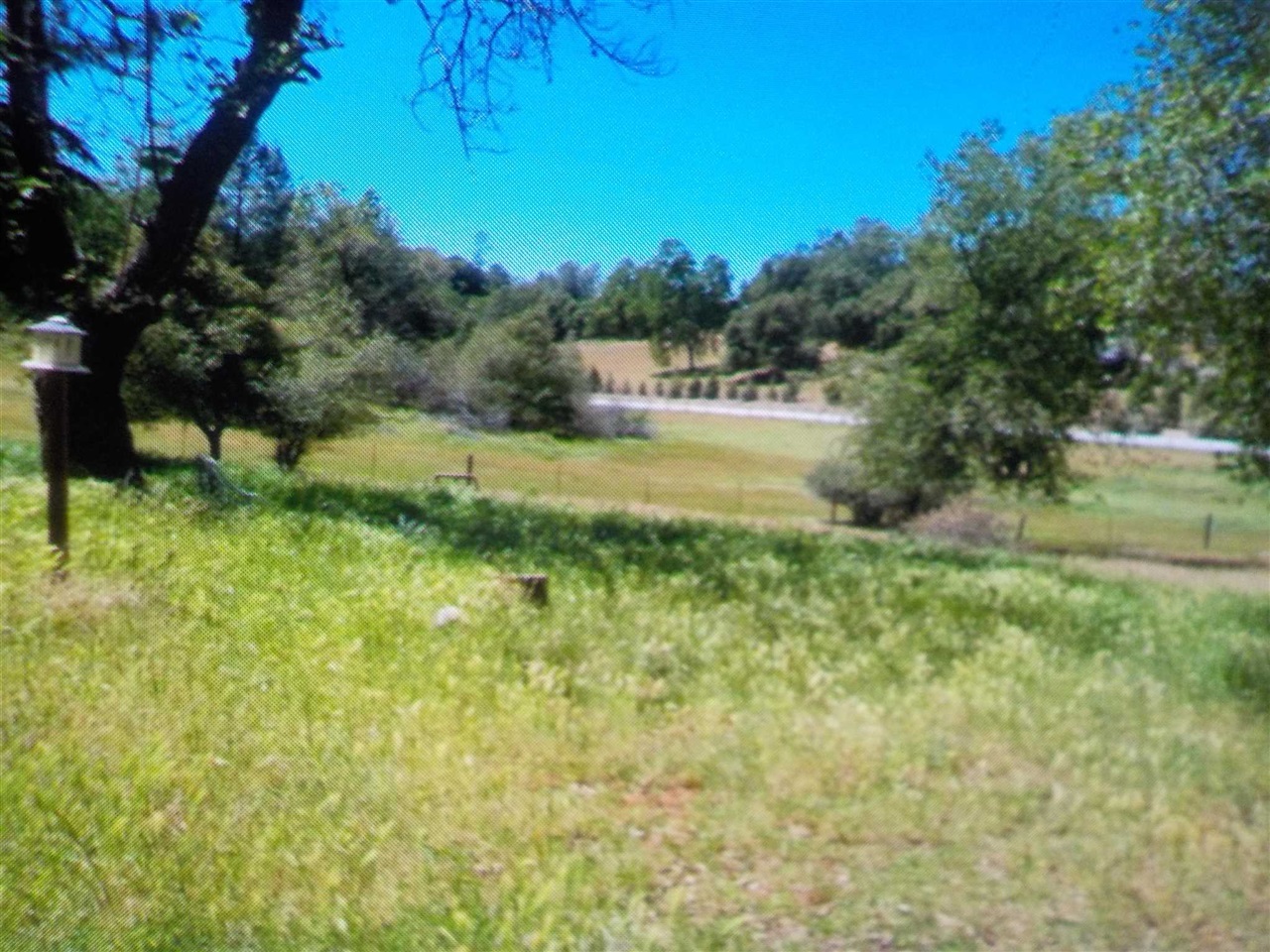 Detail Gallery Image 16 of 34 For 16641 Buckhorn Mtn Rd, Sonora,  CA 95370-8241 - – Beds | – Baths