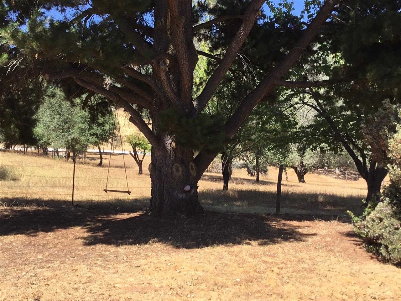 Detail Gallery Image 18 of 34 For 16641 Buckhorn Mtn Rd, Sonora,  CA 95370-8241 - – Beds | – Baths