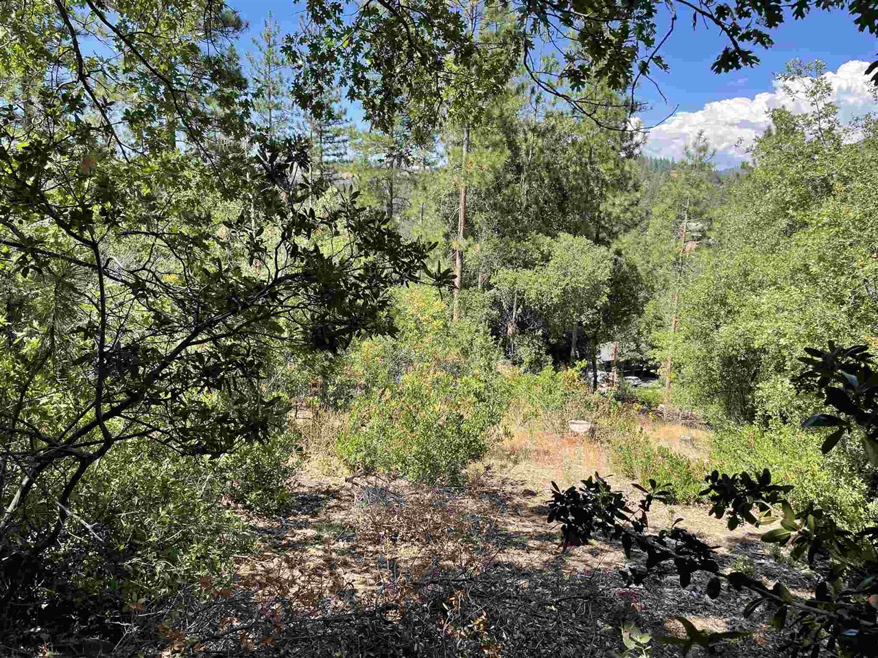 Detail Gallery Image 1 of 1 For Lot 76 Skyline, Tuolumne,  CA 95379 - – Beds | – Baths