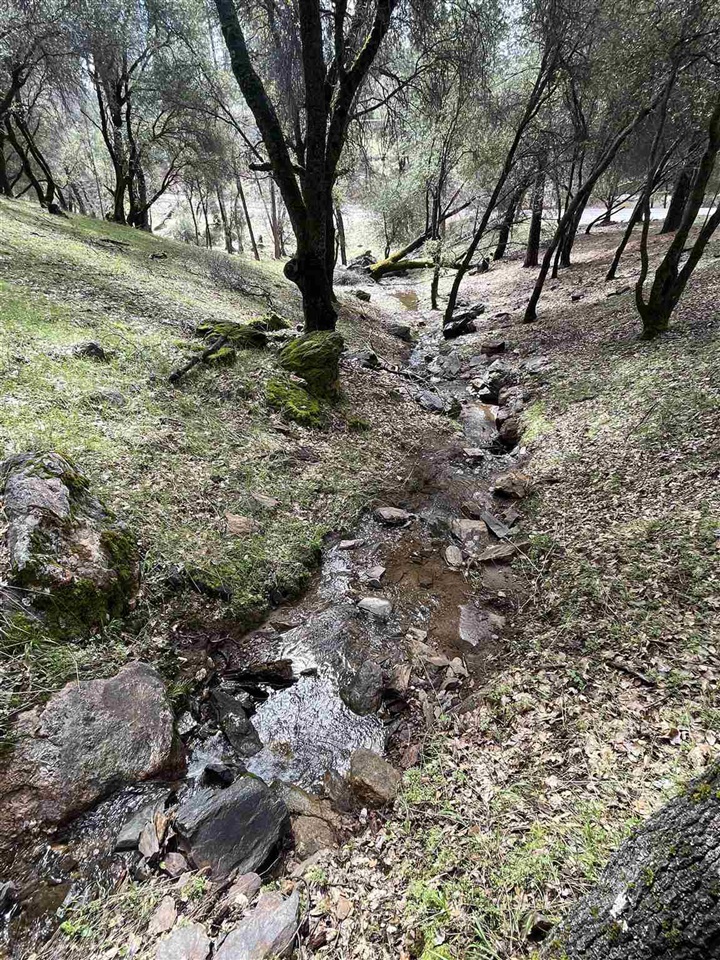 Detail Gallery Image 1 of 1 For 3-465 Pine Mountain Dr, Groveland,  CA 95321 - – Beds | – Baths