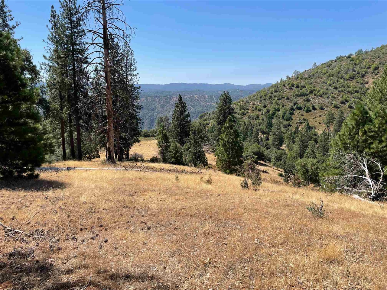 Detail Gallery Image 2 of 44 For 00000 Forrest Rd 1n19, Tuolumne,  CA 95379 - – Beds | – Baths