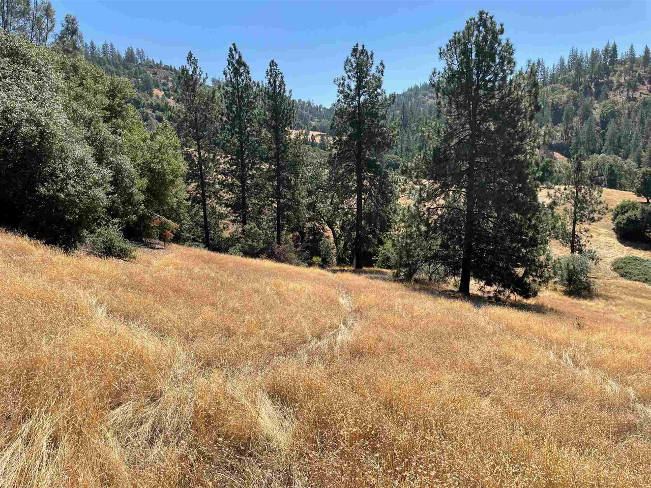 Detail Gallery Image 11 of 44 For 00000 Forrest Rd 1n19, Tuolumne,  CA 95379 - – Beds | – Baths