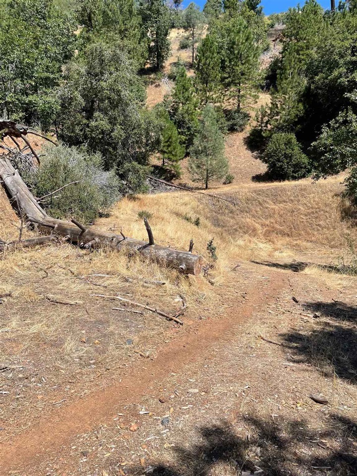 Detail Gallery Image 12 of 44 For 00000 Forrest Rd 1n19, Tuolumne,  CA 95379 - – Beds | – Baths