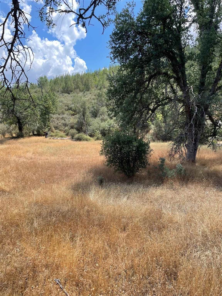 Detail Gallery Image 13 of 44 For 00000 Forrest Rd 1n19, Tuolumne,  CA 95379 - – Beds | – Baths