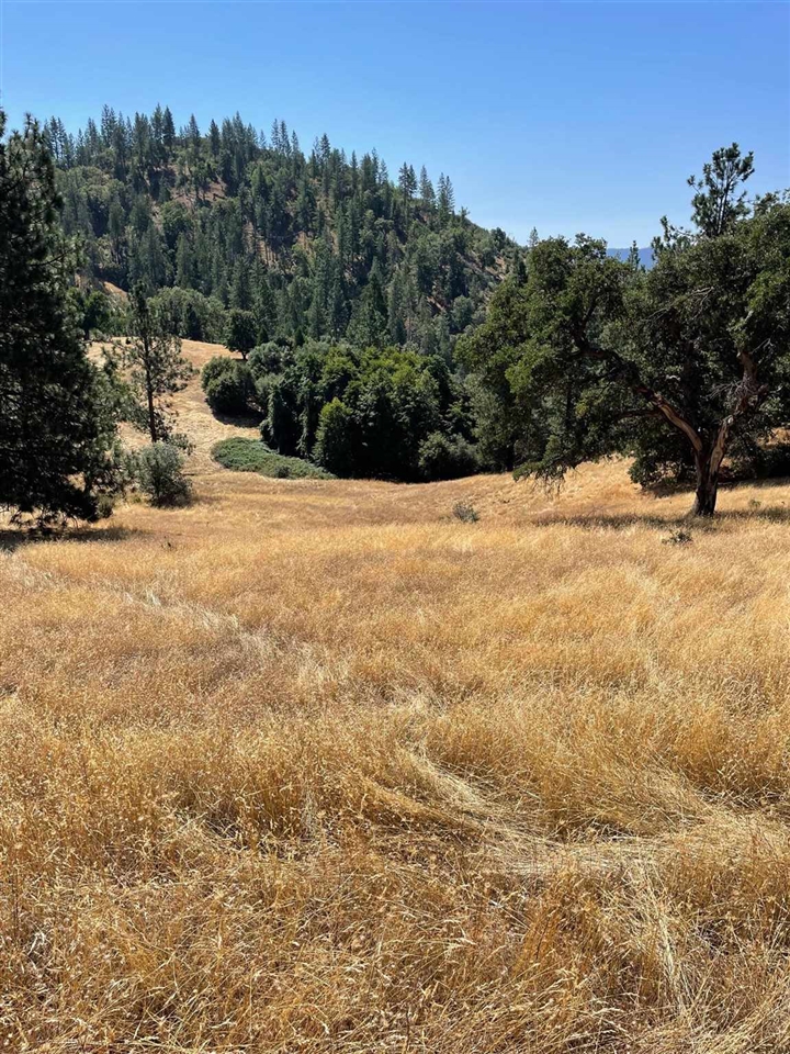 Detail Gallery Image 14 of 44 For 00000 Forrest Rd 1n19, Tuolumne,  CA 95379 - – Beds | – Baths